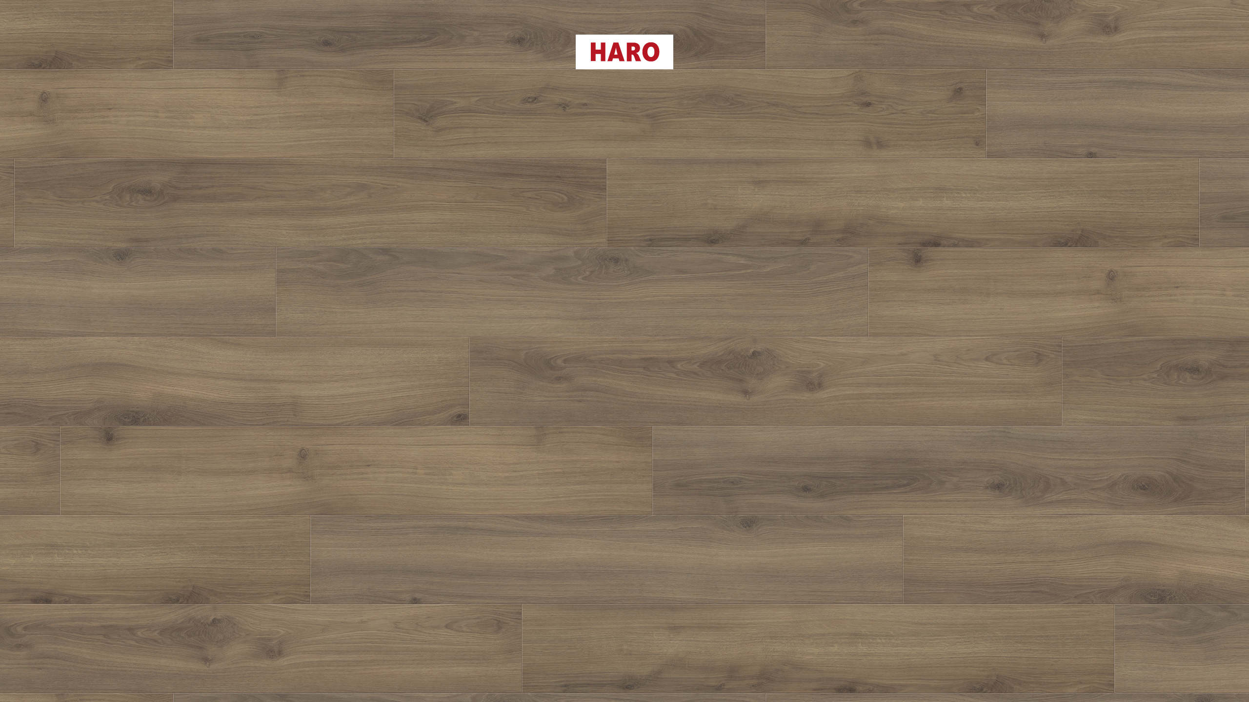 HARO Laminat Eiche Emilia samtbraun authentic soft Landhausdiele 4V | Tritty 100 | 2. Wahl | 15 m²-4018427485825