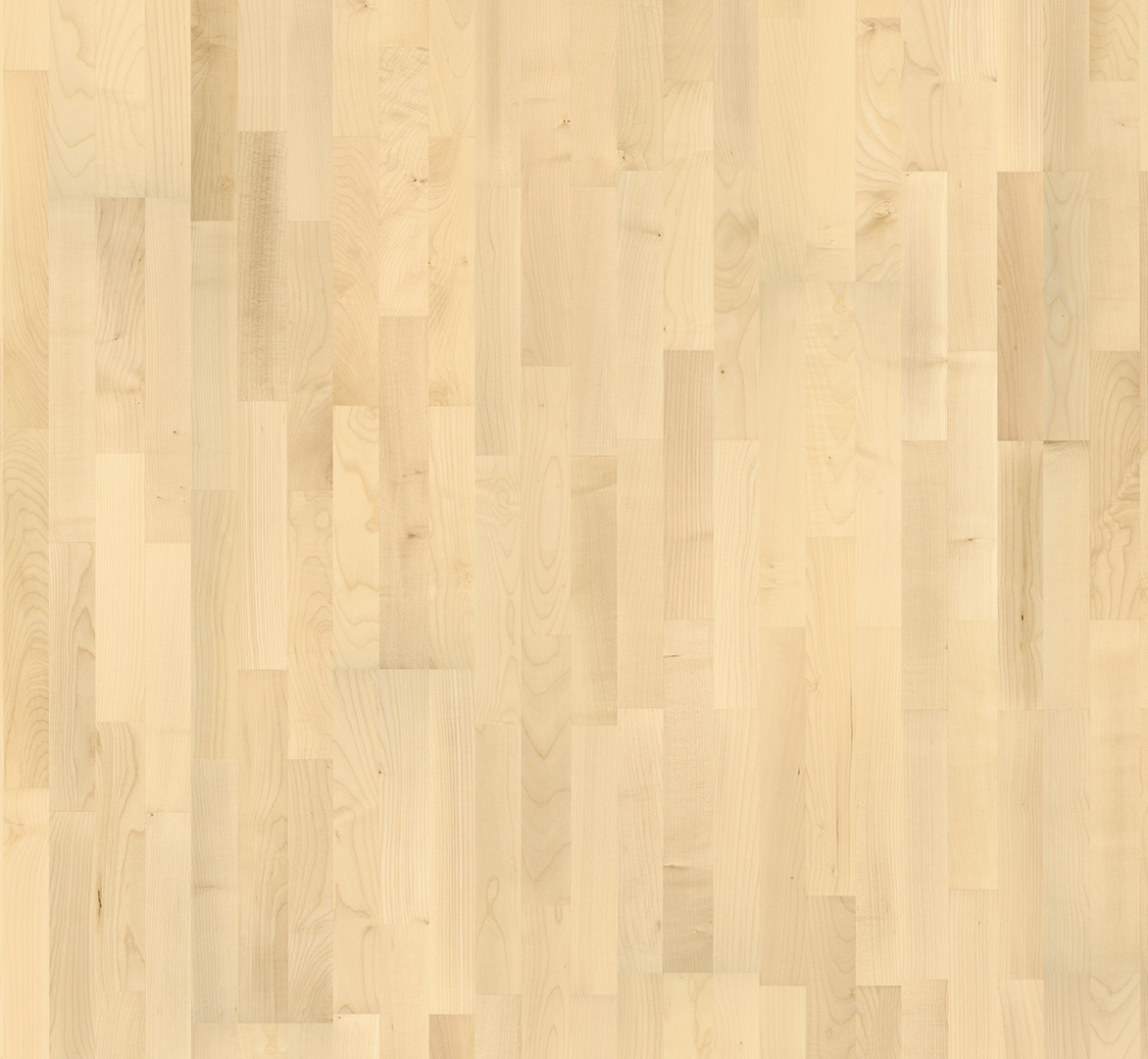 PARADOR Parkett Ahorn europäisch Schiffsboden 3-Stab lackversiegelt matt | Sonderedition | 25 m²-#