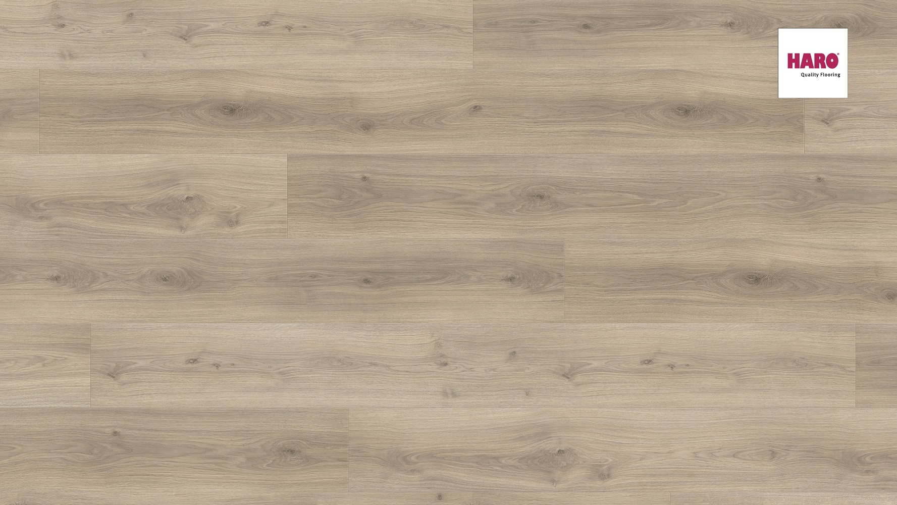 HARO Laminat Eiche Emilia samtgrau Landhausdiele 4V | Tritty 100 Gran Via Sonderedition | 11 m²-4018427445836 guenstig bei bodenverkauf.de kaufen HARO Laminat Eiche Emilia samtgrau Landhausdiele 4V | Tritty 100 Gran Via Sonderedition | 11 m²-4018427445836
