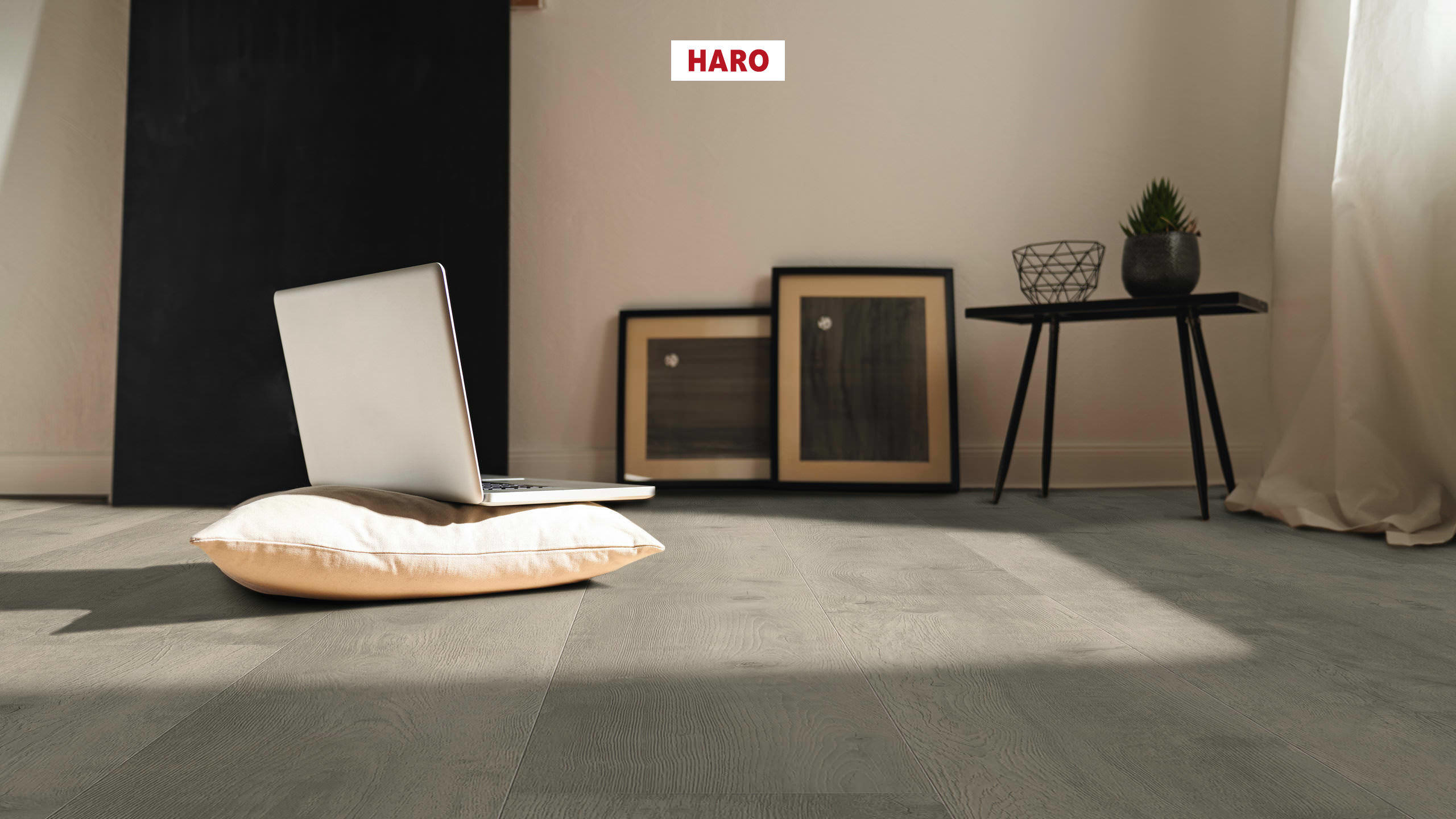 HARO Laminat Eiche Bergamo silbergrau Landhausdiele 4V | Tritty 100 Gran Via Sonderedition-4018427475673