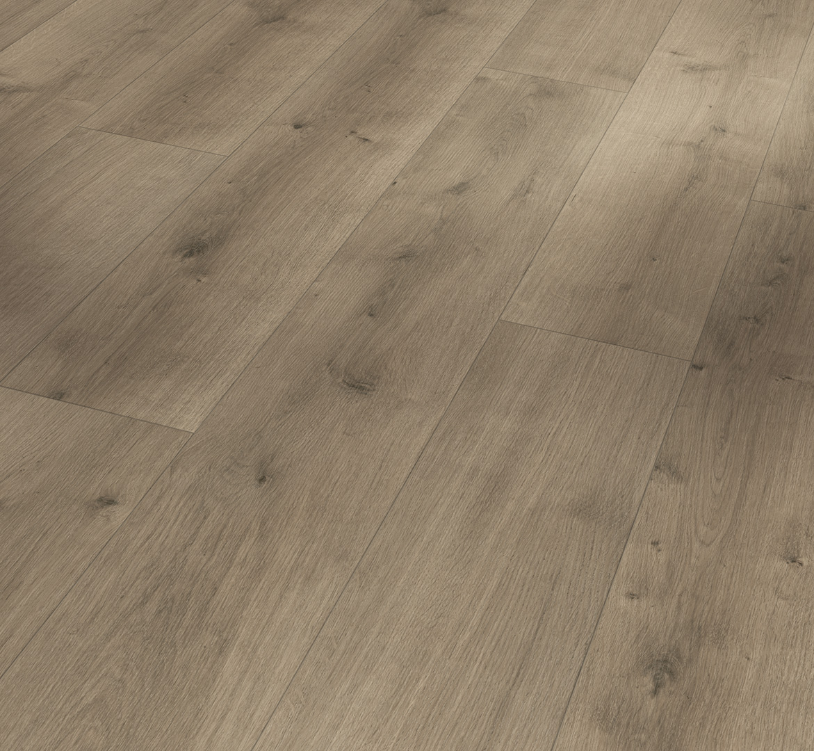 PARADOR Designboden Eiche Pure perlgrau Landhausdiele 4-seitige Fase | Modular ONE Hydron-4014809256595