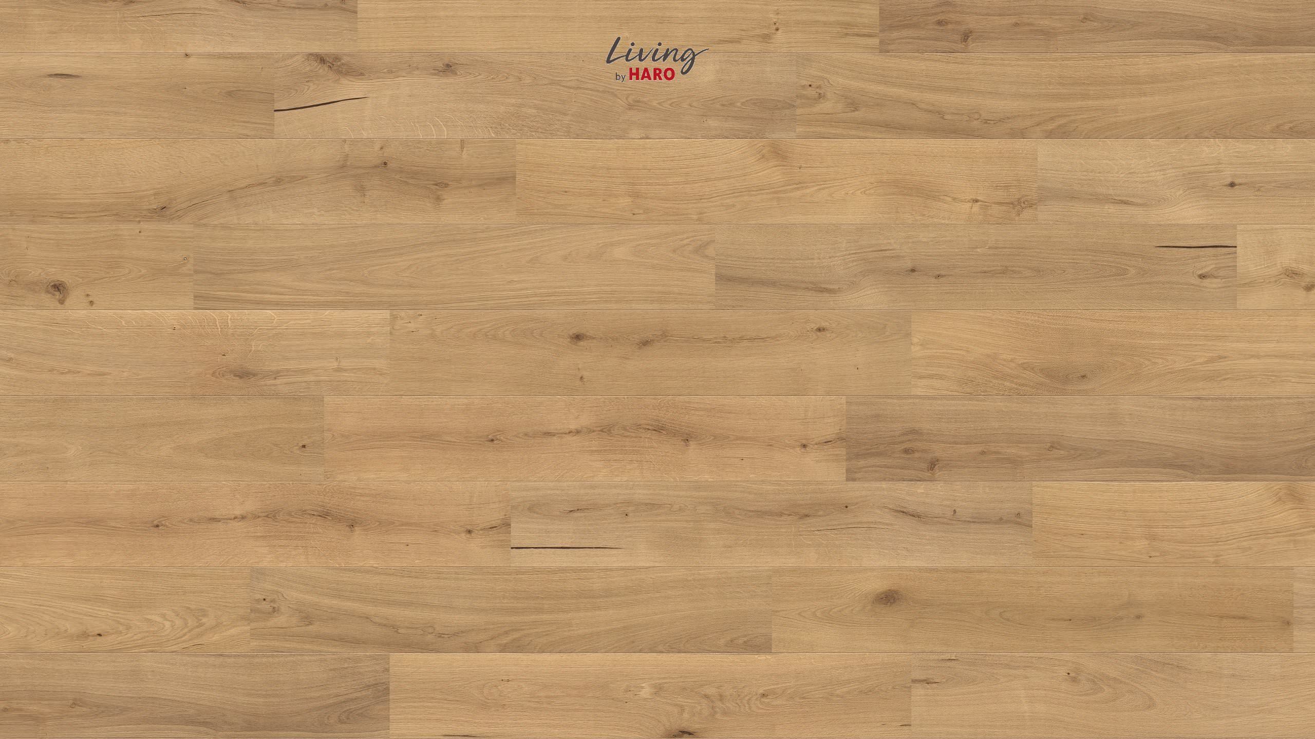 HARO Parkett Eiche pure strukturiert Landhausdiele 2V naturgeölt | Living 2500-4018427445812
