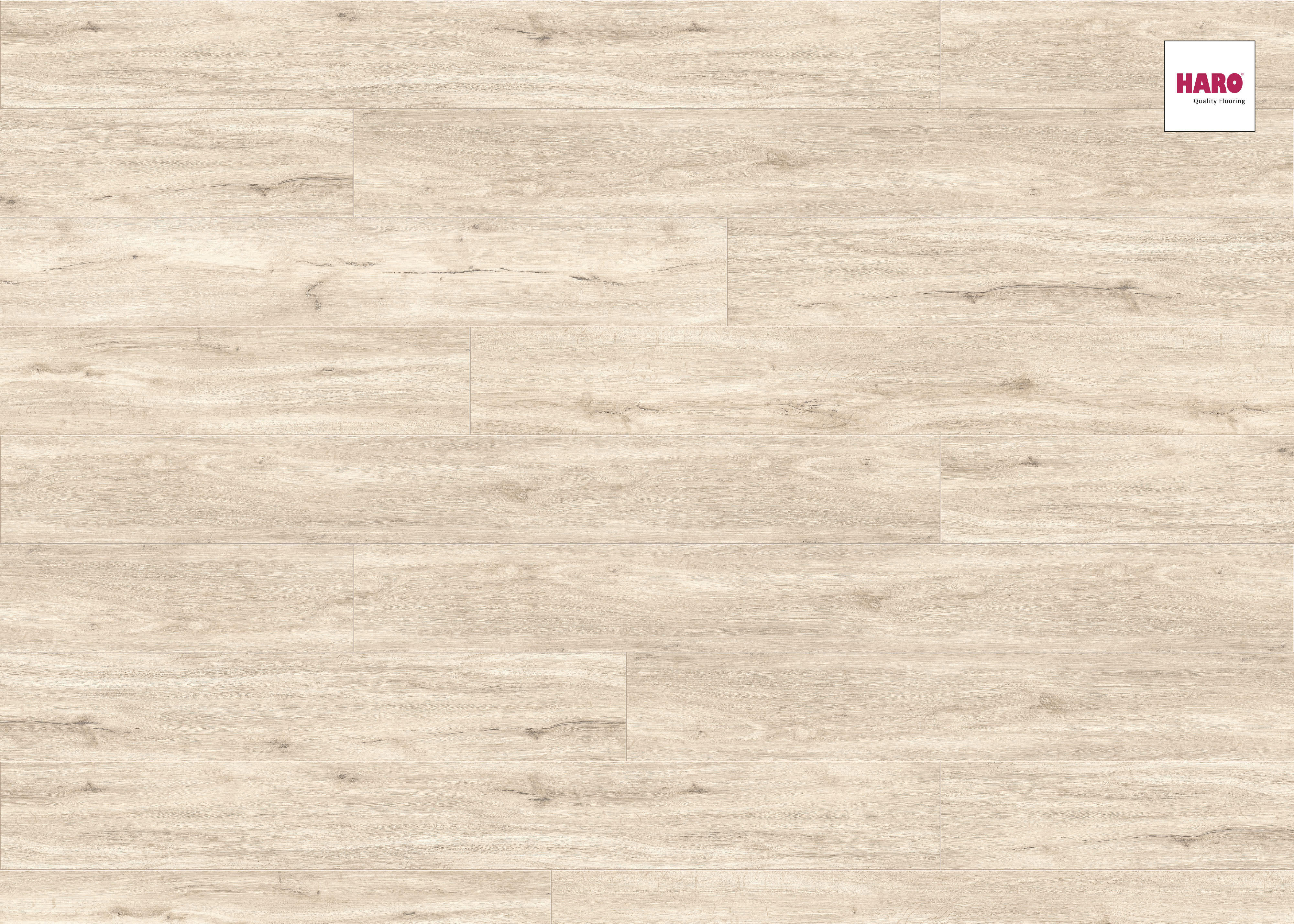 HARO Vinylboden Eiche Glacier Landhausdiele XL 4-seitige V-Fase | DISANO Sonderedition-4018427433970