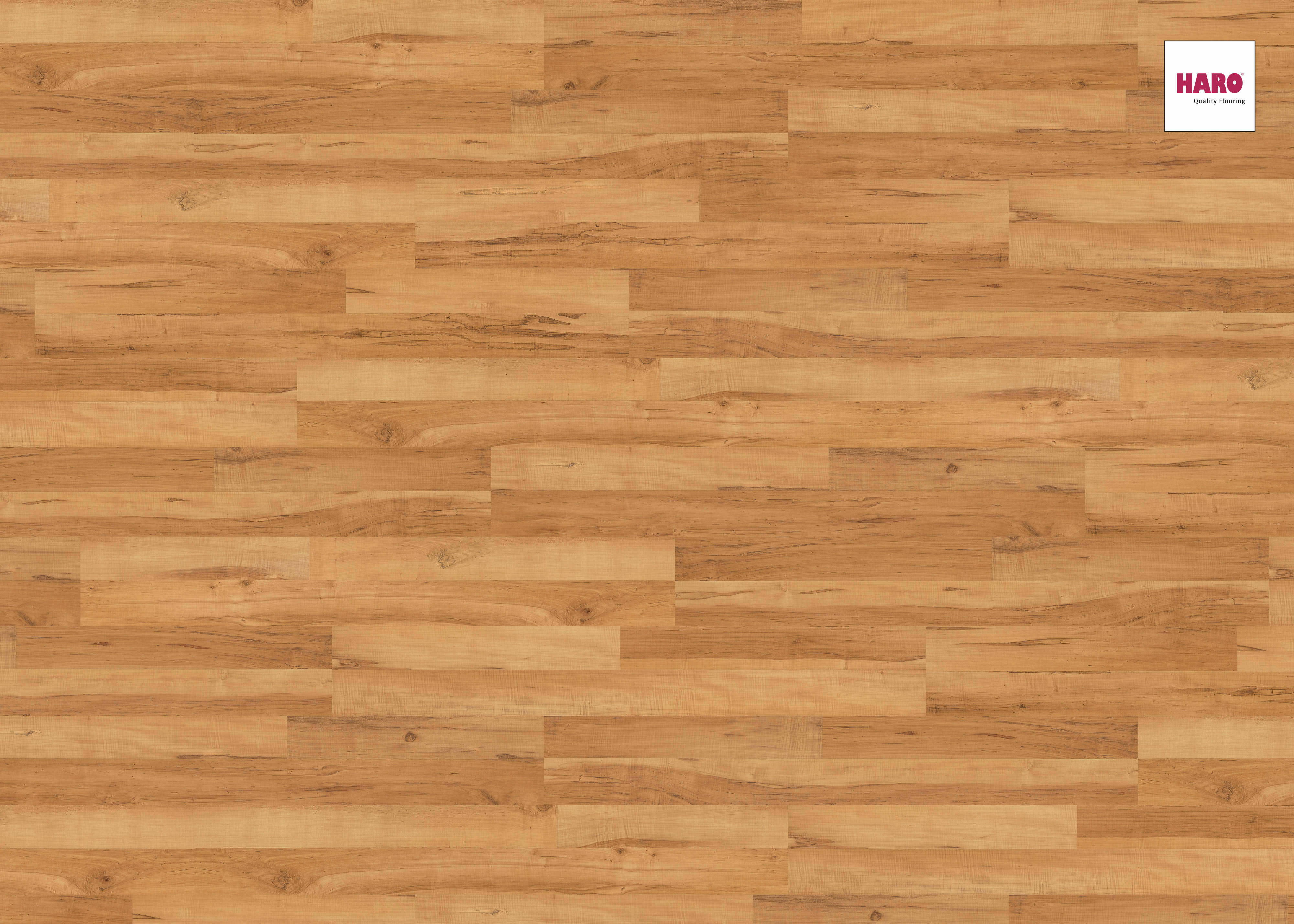 HARO Laminat Birne golden Pore 2-Stab | Tritty 75 | 2.Wahl | 33 m²-4018427310424