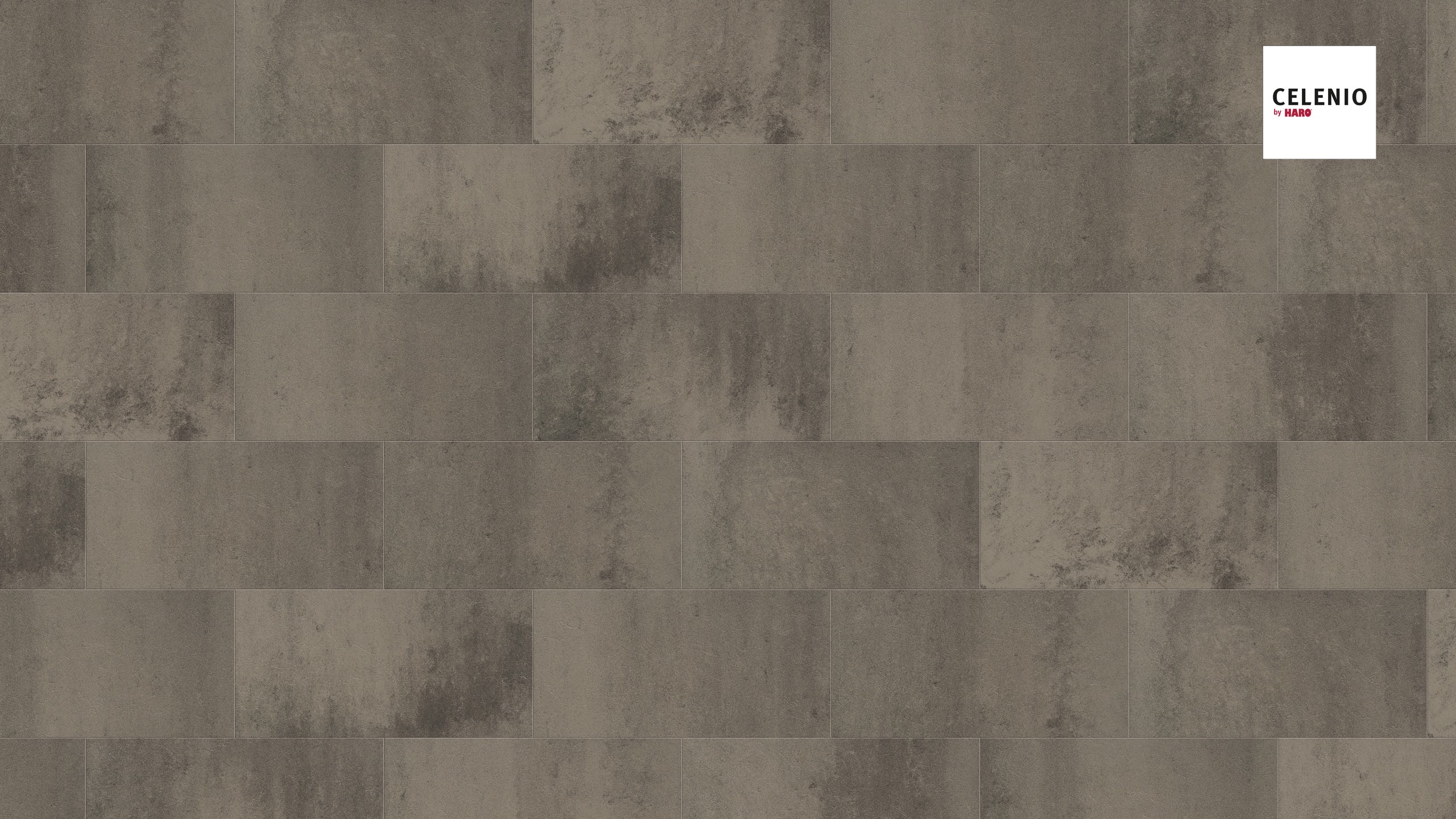 HARO Designboden Athos concrete grey | CELENIO | 11 m²-4018427424060