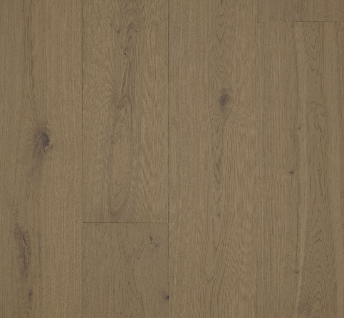 PARADOR Parkett Eiche nougat Rustikal Großdiele lackversiegelt matt 4-seitige Minifase | Classic 3025-4014809285502