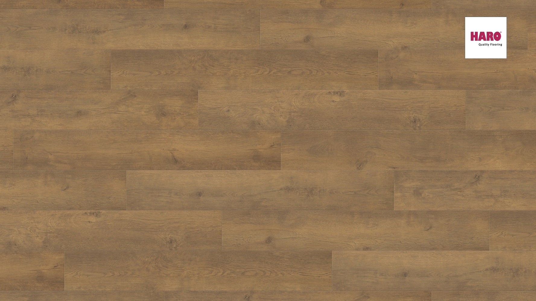 HARO Laminat Eiche Bergamo natur Landhausdiele 4V | Tritty 100 Gran Via | 2. Wahl | 20 m²-4018427446550 guenstig bei bodenverkauf.de kaufen HARO Laminat Eiche Bergamo natur Landhausdiele 4V | Tritty 100 Gran Via | 2. Wahl | 20 m²-4018427446550