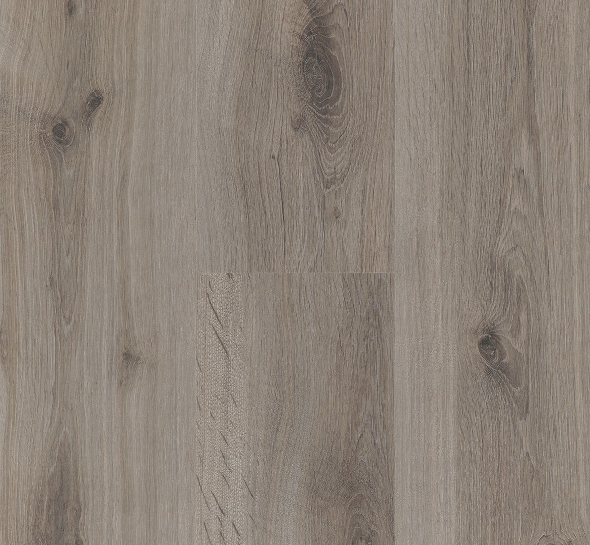 PARADOR Laminat Eiche basaltgrau Landhausdiele Seidenmatte Struktur | Basic 400-4014809233435