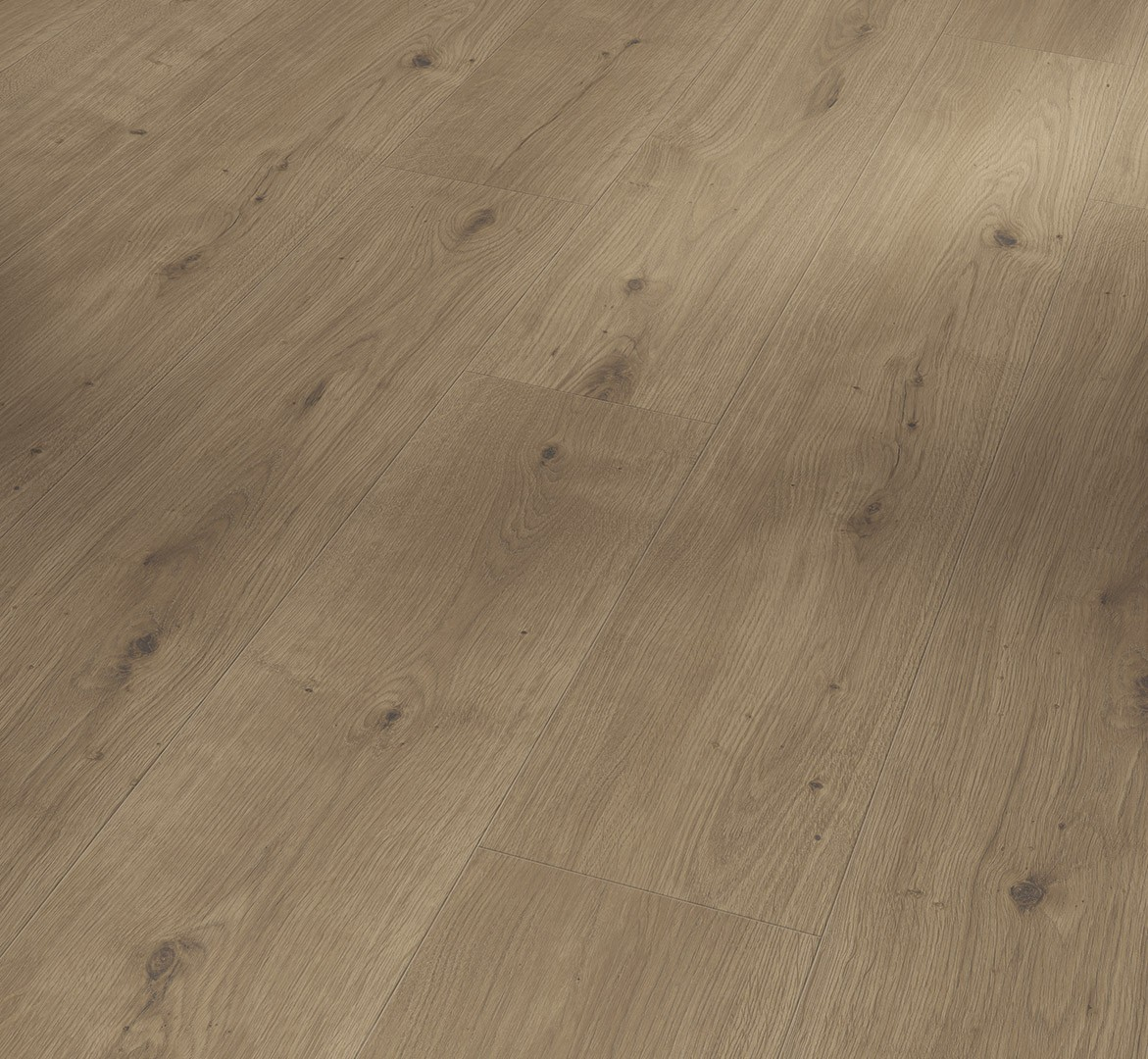 PARADOR Designboden Eiche Horizon braun Landhausdiele Authentische Struktur 4-seitige Fase | Modular ONE