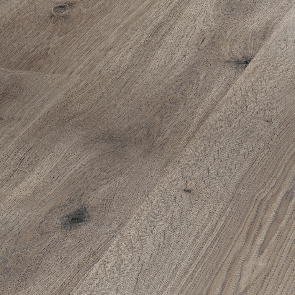 PARADOR Laminat Eiche basaltgrau Landhausdiele Seidenmatte Struktur | Eco Balance-4014809191025