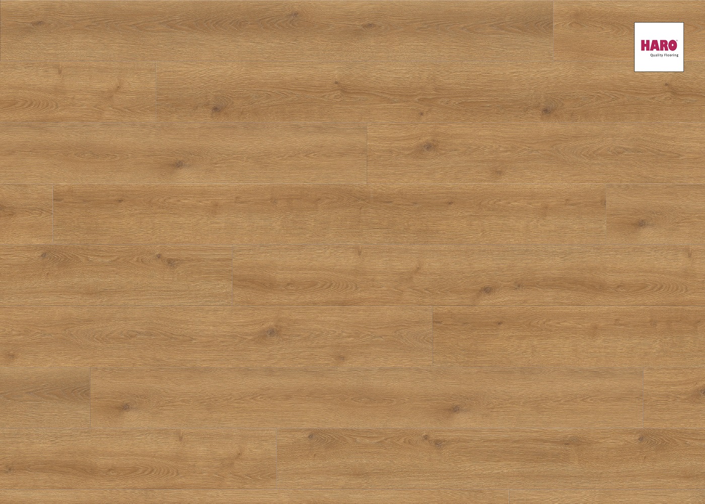 HARO Laminat Eiche Contura natur authentic Landhausdiele 4V | Tritty 100 Gran Via Silent Pro-4018427418175