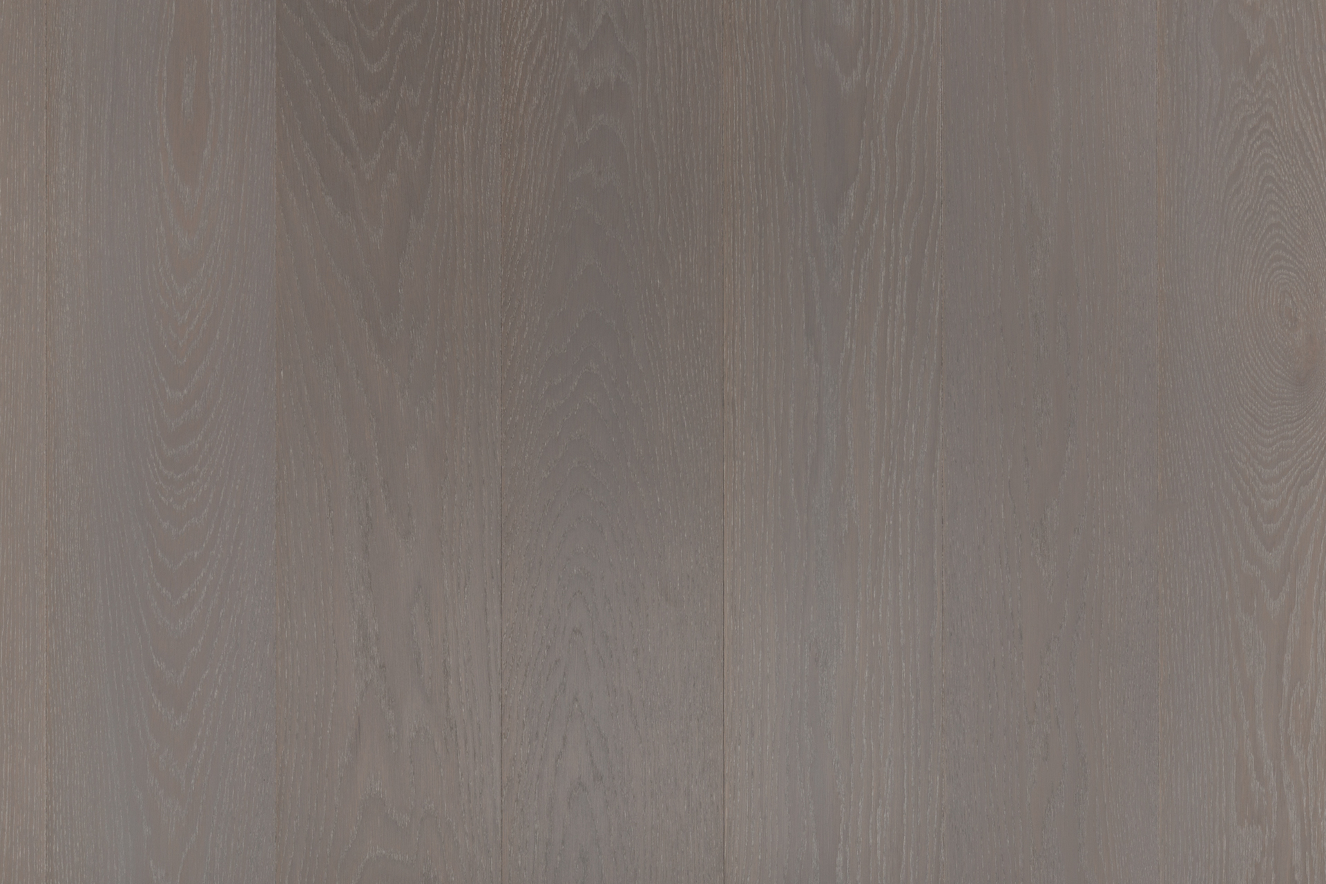 PARADOR Parkett Eiche grau gebürstet Landhausdiele lackversiegelt Minifase | 2. Wahl | 16 m²-#
