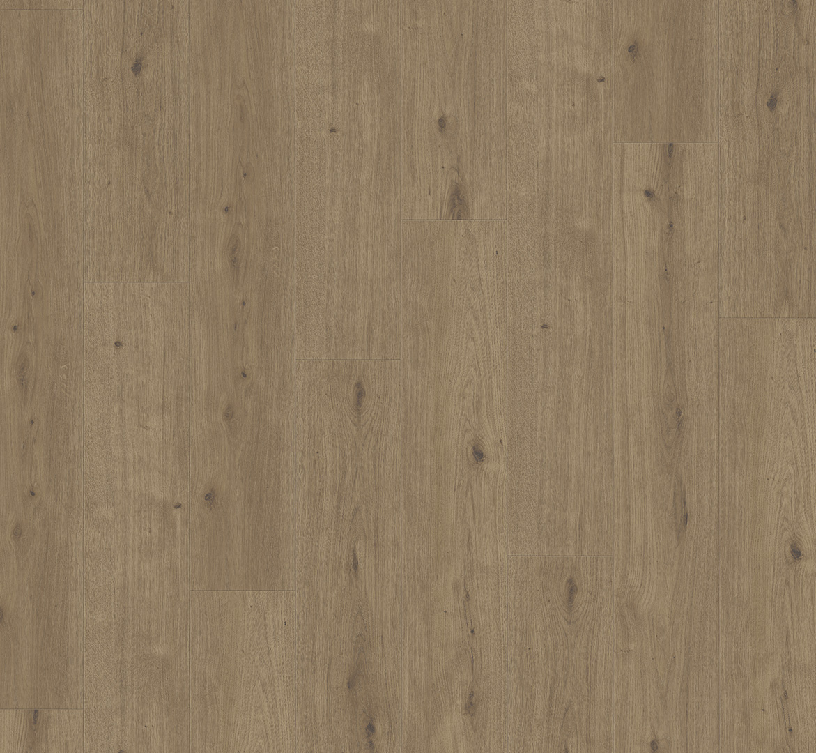 PARADOR Designboden Eiche Atmosphere umbra Authentische Struktur 4-seitige Fase | Modular ONE-4014809236252