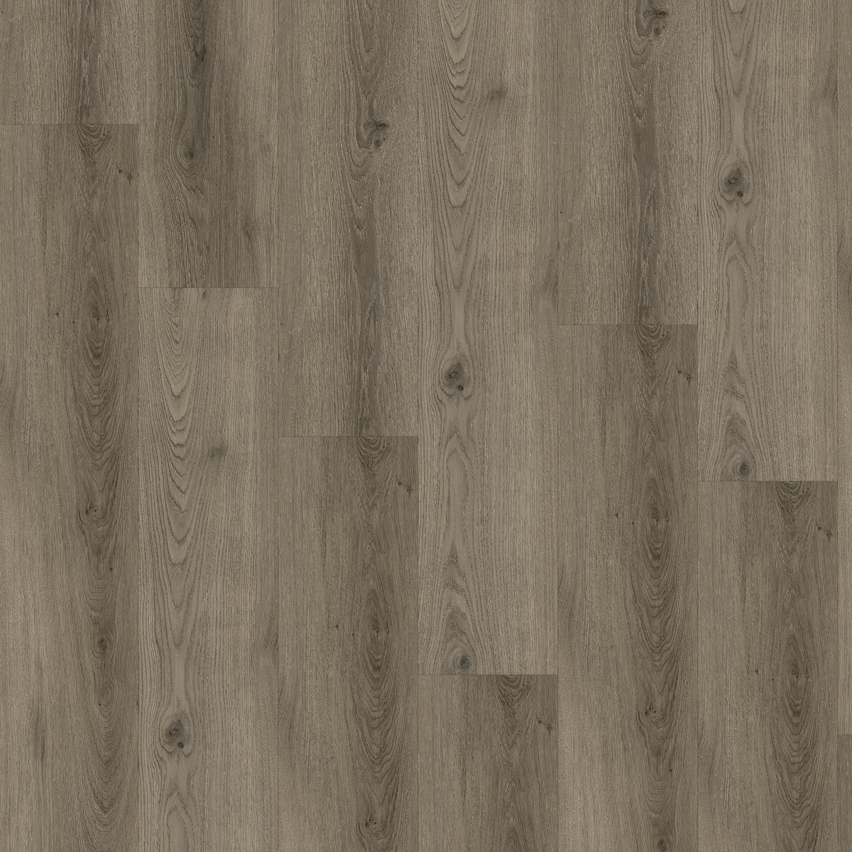 CHECK Vinylboden 2076 Boxbach Eiche Landhausdiele 4-seitige Fase | Premium Collection-4250055115419 CHECK Vinylboden 2076 Boxbach Eiche Landhausdiele 4-seitige Fase | Premium Collection-4250055115419