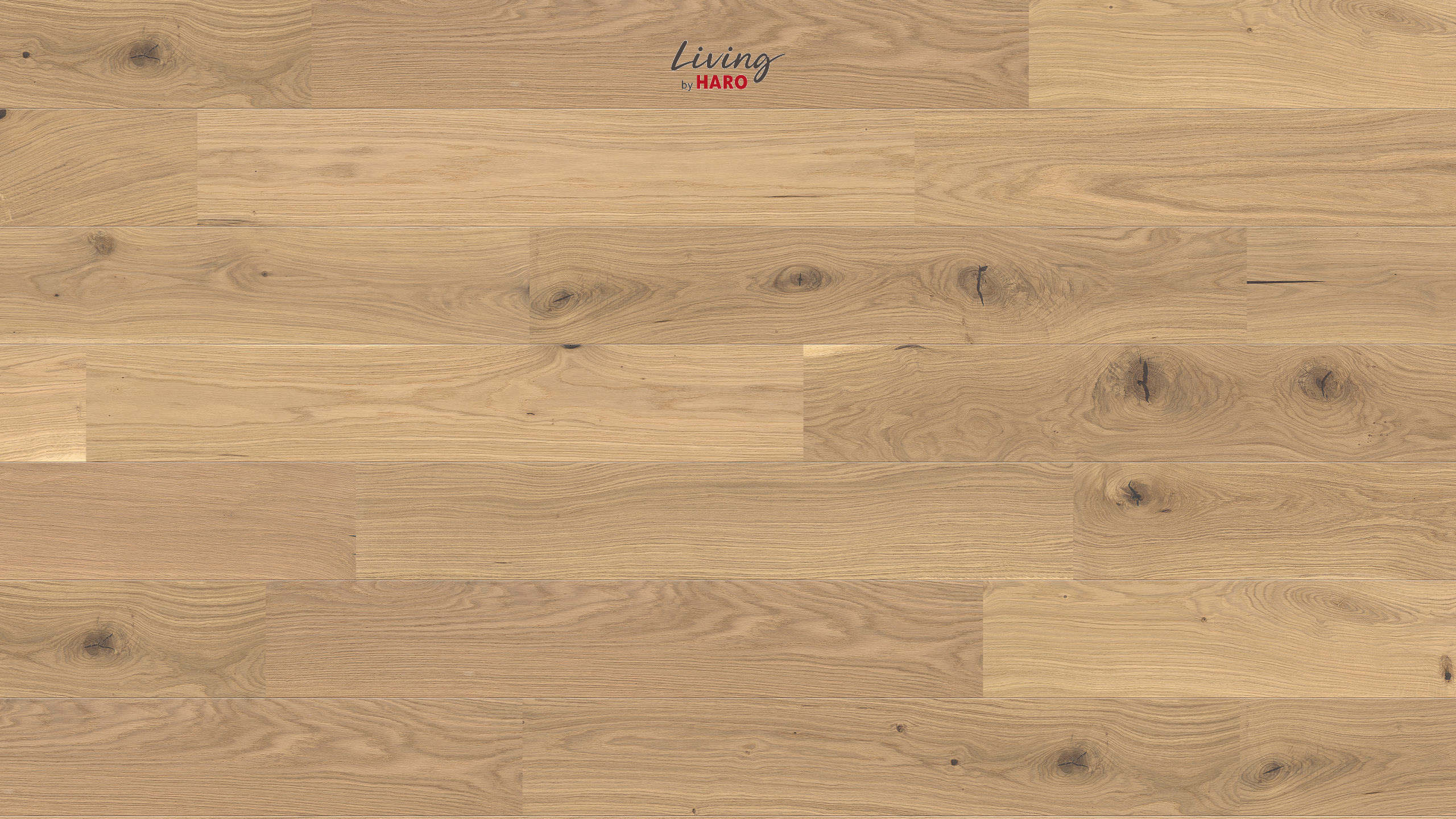 HARO Parkett Eiche weiß strukturiert Landhausdiele 2V Öl‐Wachs-Finish | Living 2500-4018427367732