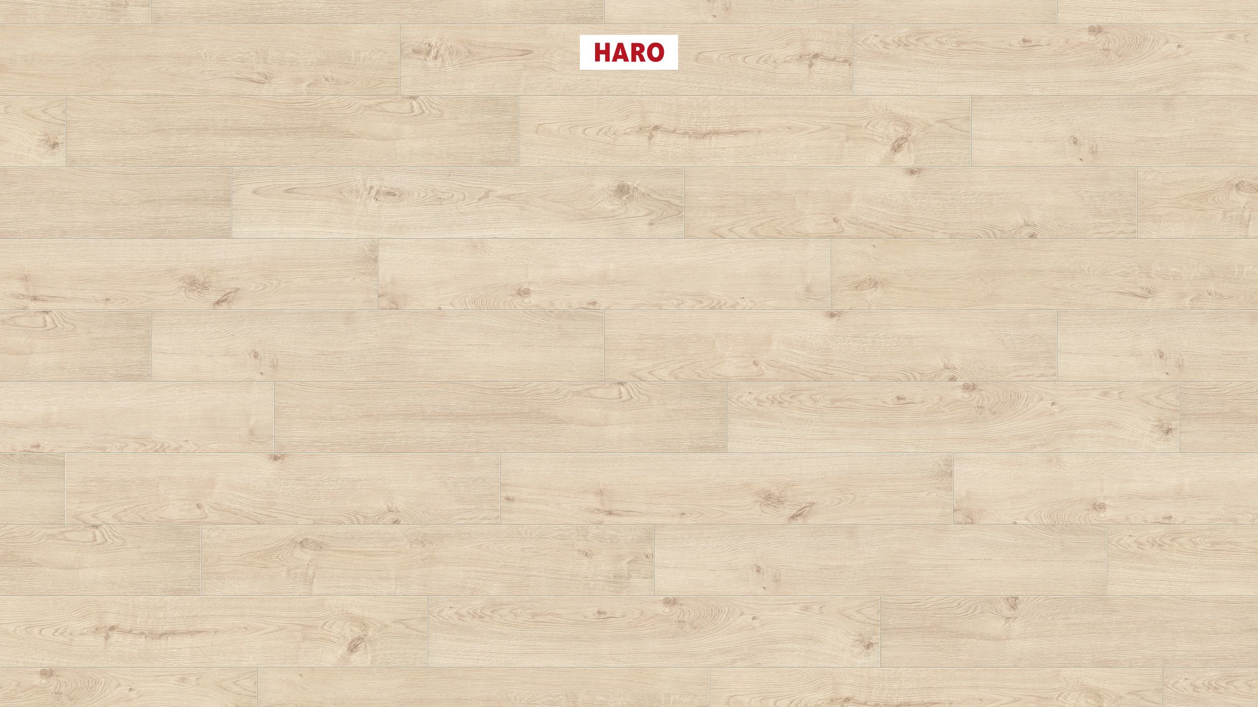 HARO Korkboden Eiche Portland weiß strukturiert | Arteo XL 4V | 14 m²-4018427505813