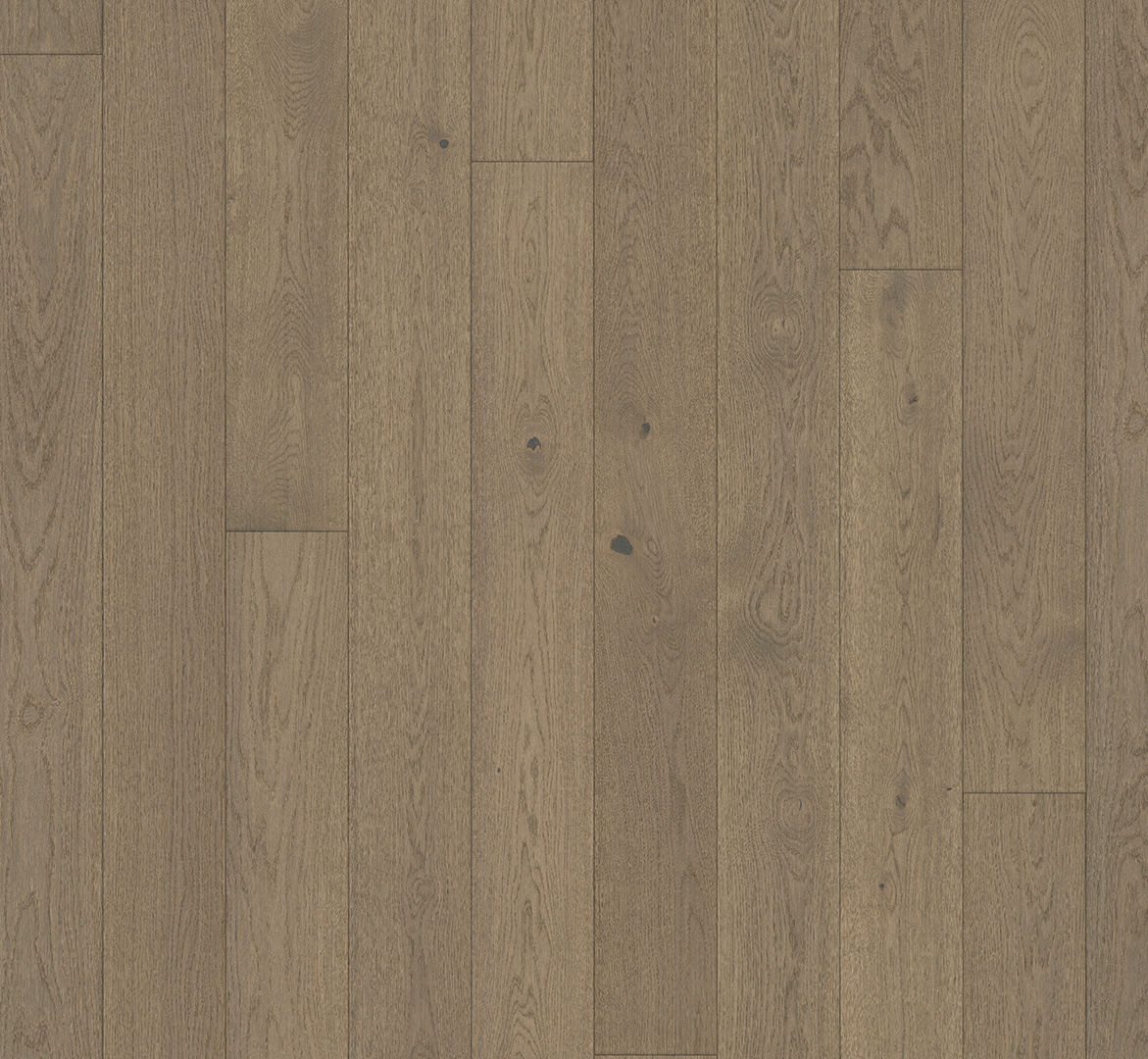 PARADOR Parkett Eiche Chalet Landhausdiele lackversiegelt extramatt 4-seitige Minifase | Trendtime 4-4014809238782 guenstig bei bodenverkauf.de kaufen PARADOR Parkett Eiche Chalet Landhausdiele lackversiegelt extramatt 4-seitige Minifase | Trendtime 4-4014809238782