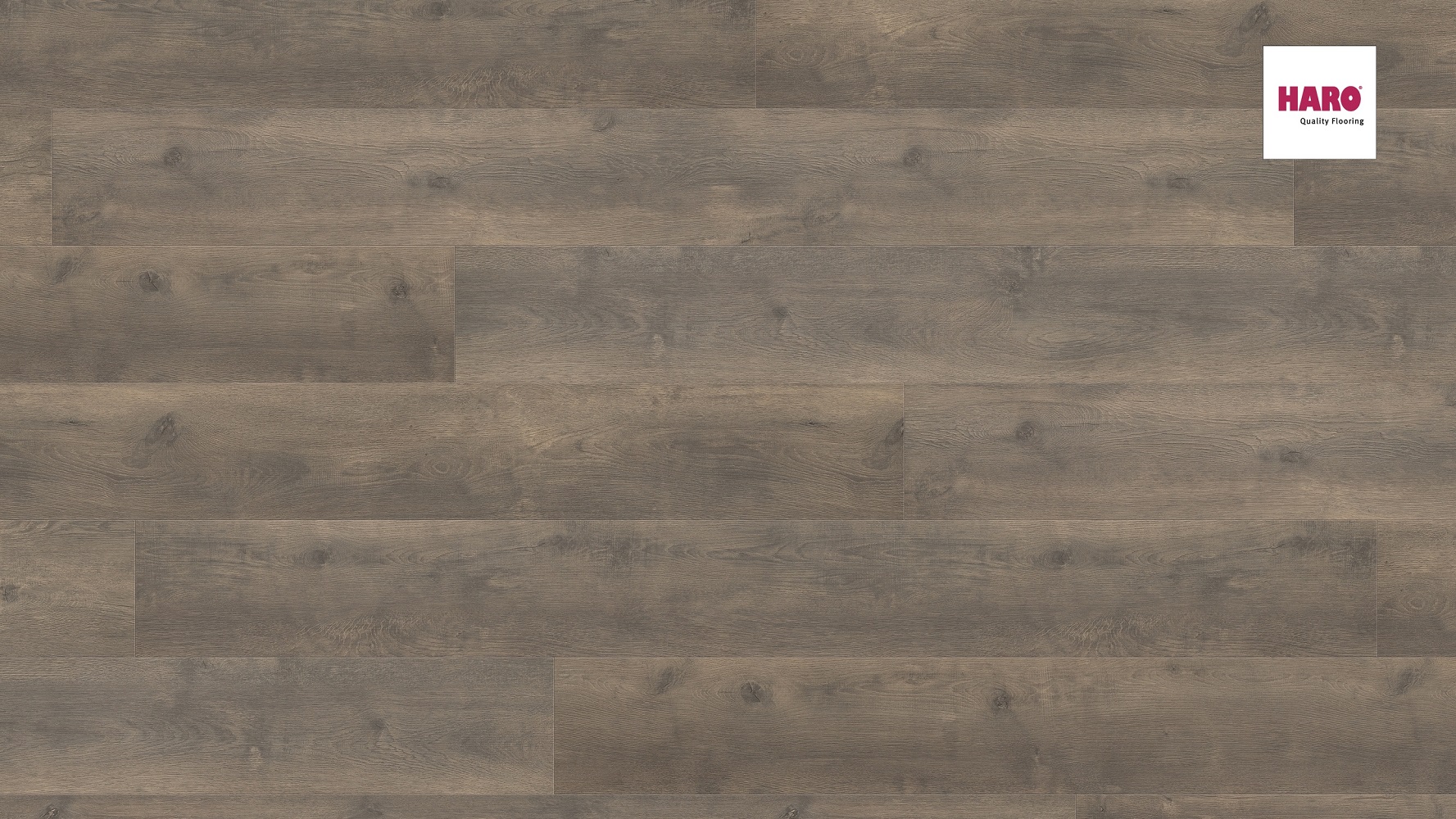 HARO Laminat Eiche Bergamo carbon authentic soft Landhausdiele 4V | Tritty 100 Gran Via | 2.Wahl-4018427448219