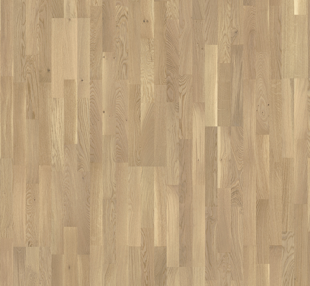 PARADOR Parkett Eiche Pure Rustikal Schiffsboden 3-Stab lackversiegelt matt | Basic 11-5 | 30 m²-4014809170747
