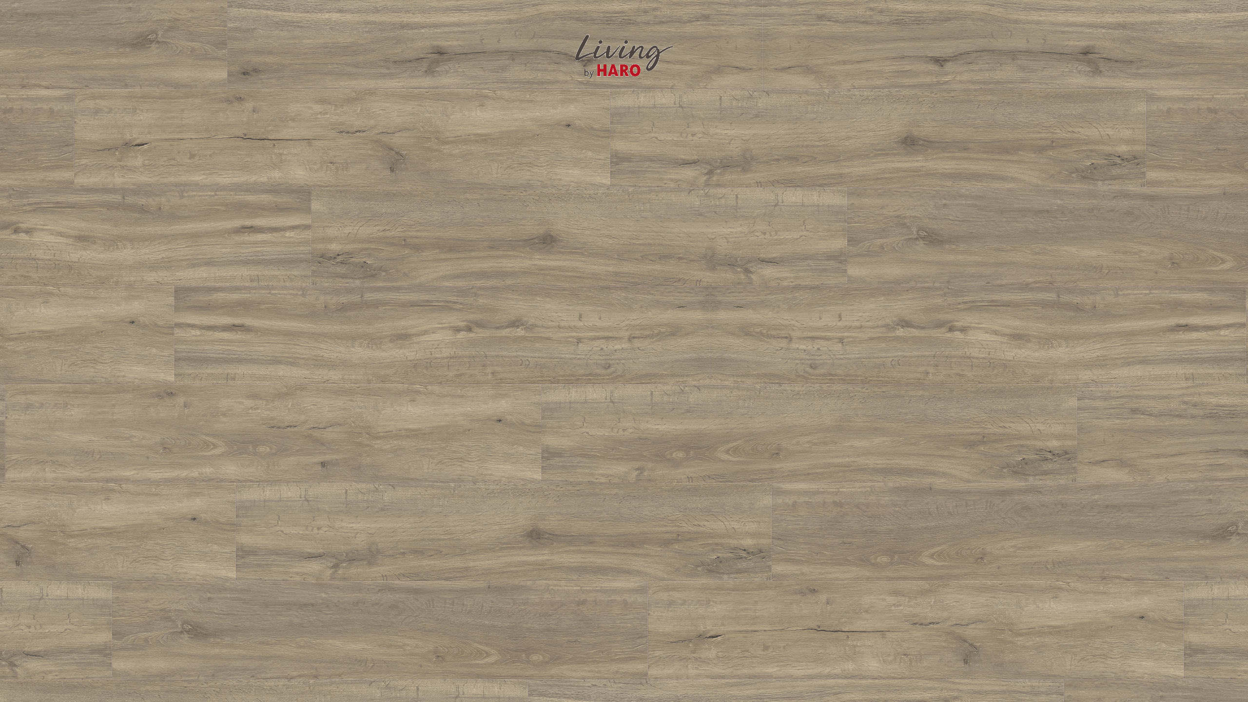 HARO Living Designboden Eiche Trient grau strukturiert Landhausdiele 4VM | HydroStar-4018427419165 guenstig bei bodenverkauf.de kaufen HARO Living Designboden Eiche Trient grau strukturiert Landhausdiele 4VM | HydroStar-4018427419165