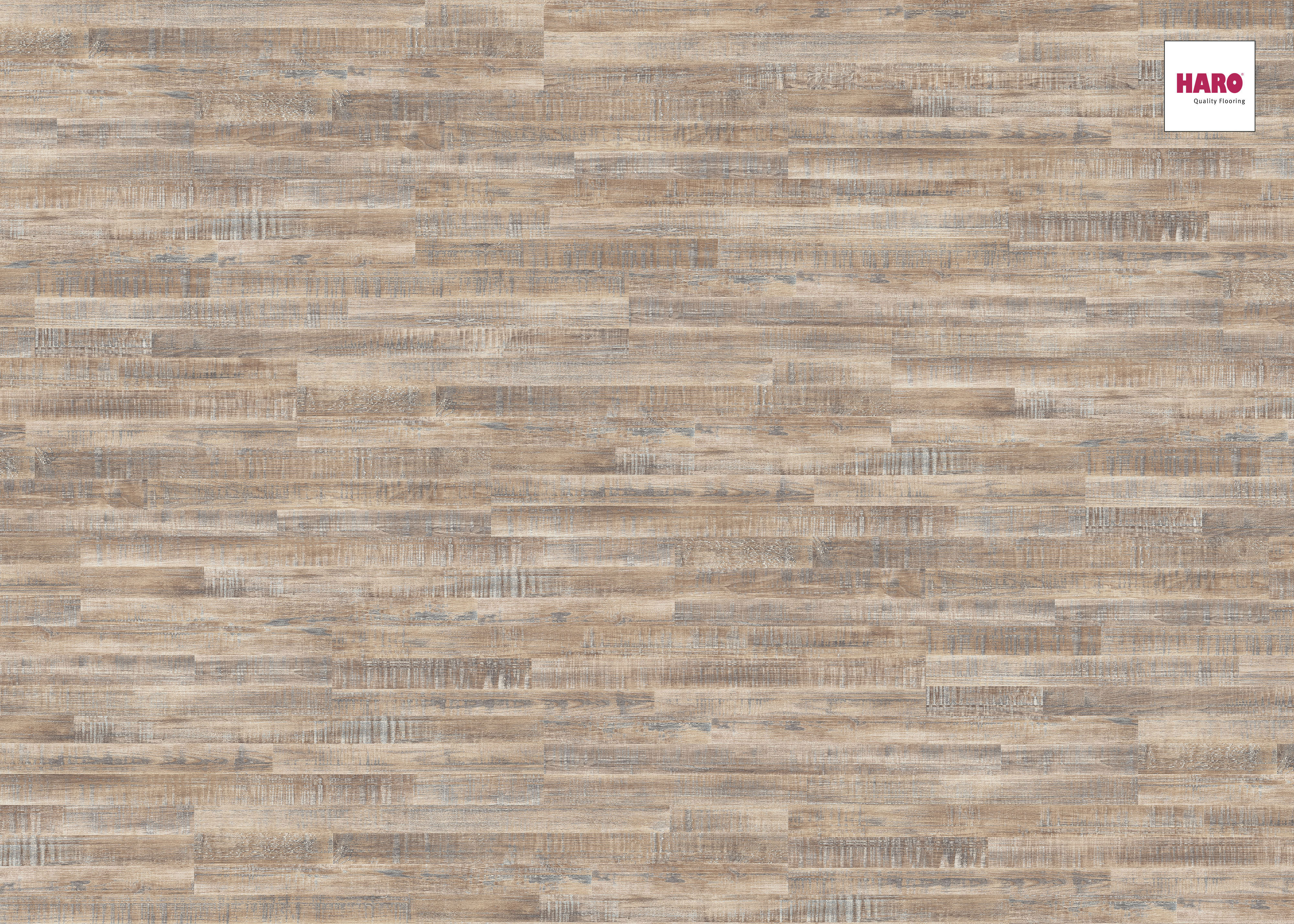 HARO Laminat Robinie weiß geschliffen 3-Stab | Tritty 75 | 2.Wahl |  11 m²-4018427350055