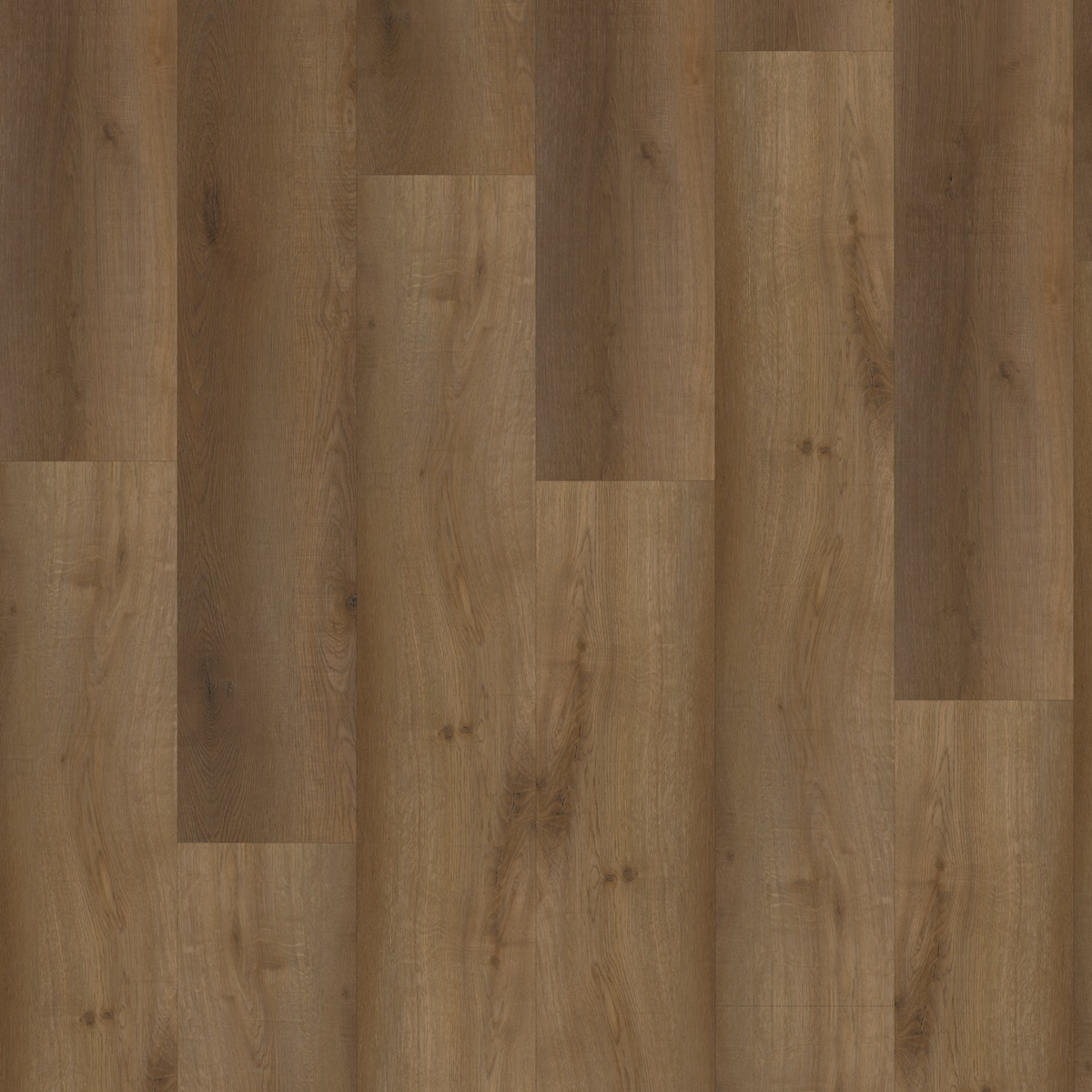 CHECK Vinylboden 2504 Kerz Eiche Landhausdiele 4-seitige Fase | Comfort Collection-4250055111749