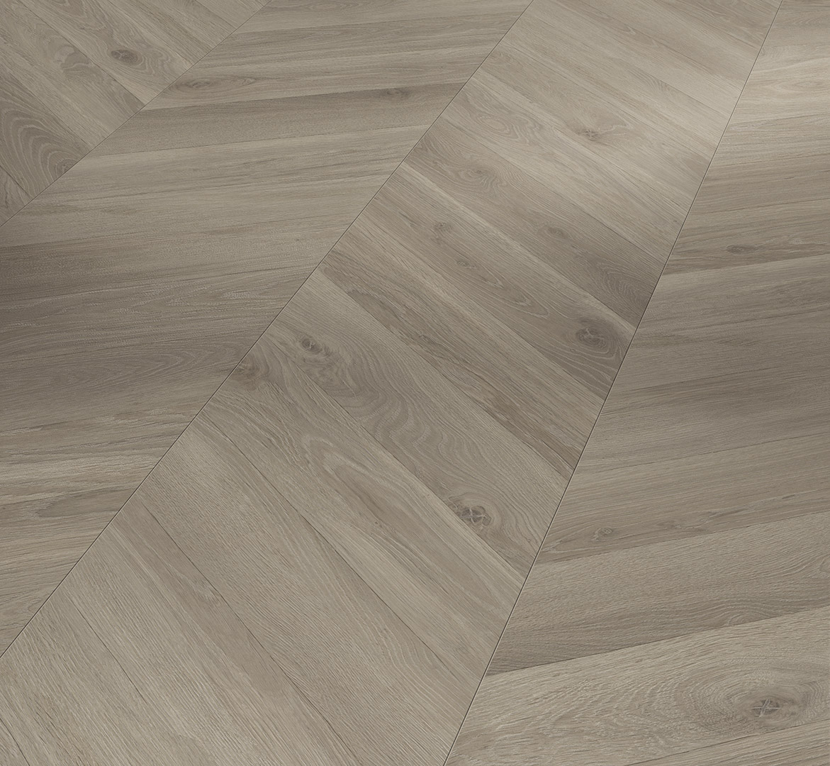 PARADOR Laminat Eiche Loire grau Seidenmatte Struktur | Trendtime 8-4014809268642 PARADOR Laminat Eiche Loire grau Seidenmatte Struktur | Trendtime 8-4014809268642