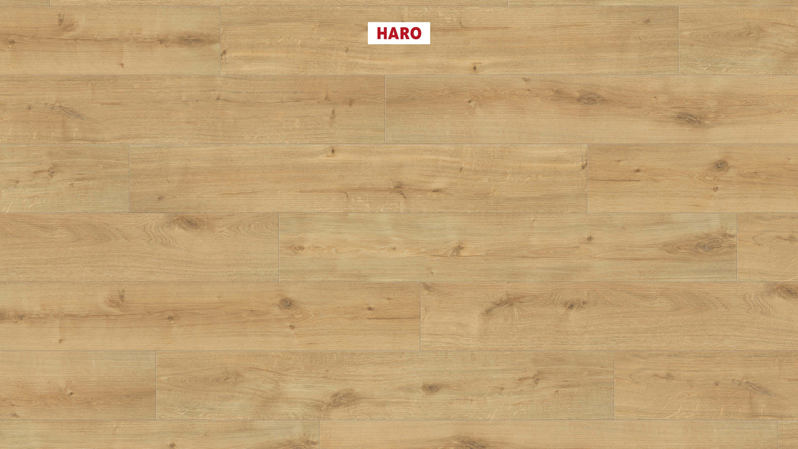HARO Laminat Eiche Siena puro strukturiert matt Landhausdiele | Sonderedition NKL31 | 11 m²-4018427438944