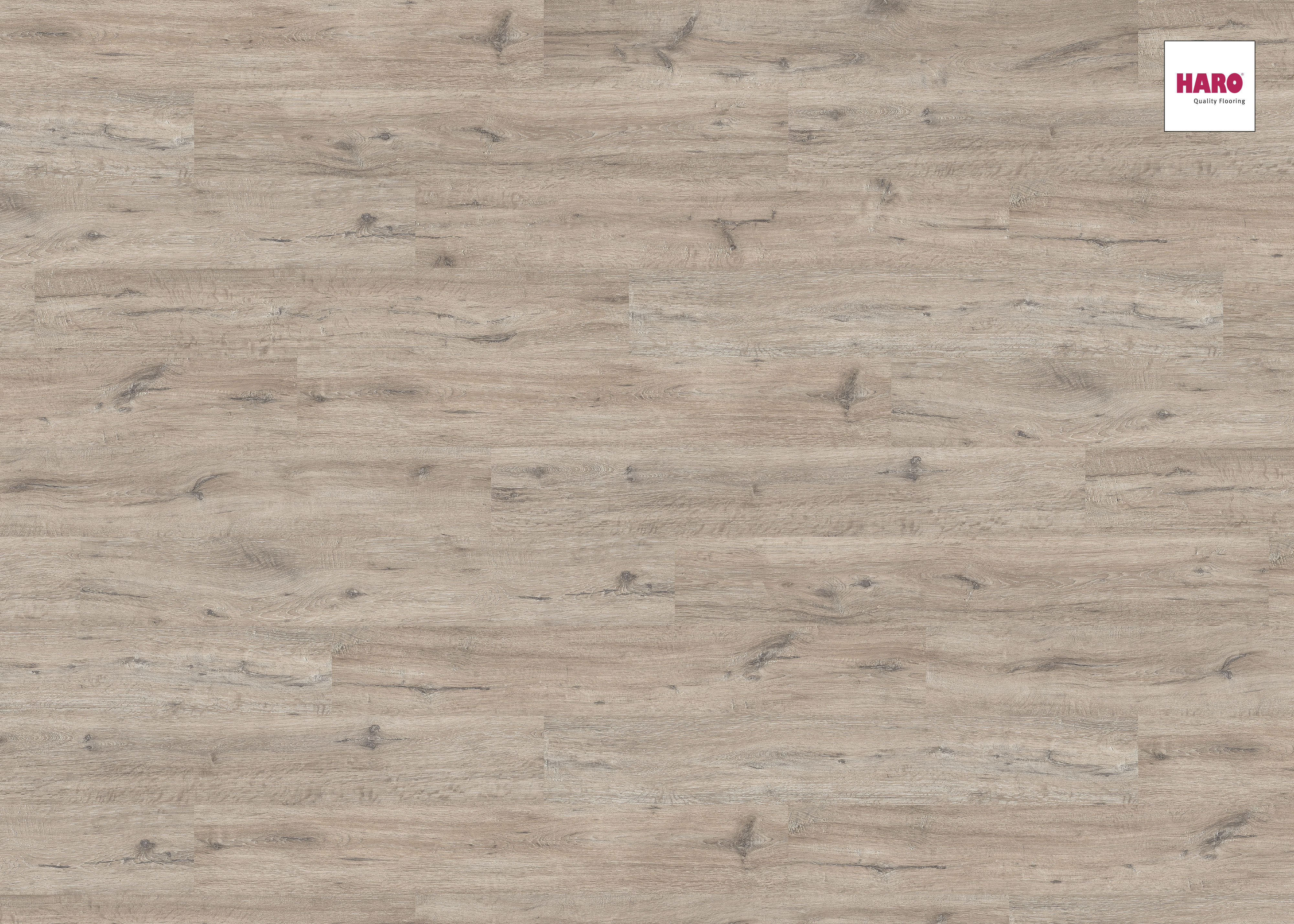 HARO Laminat Eiche Dover Landhausdiele | Sonderedition | 2.Wahl | 5 m²-4018427386818
