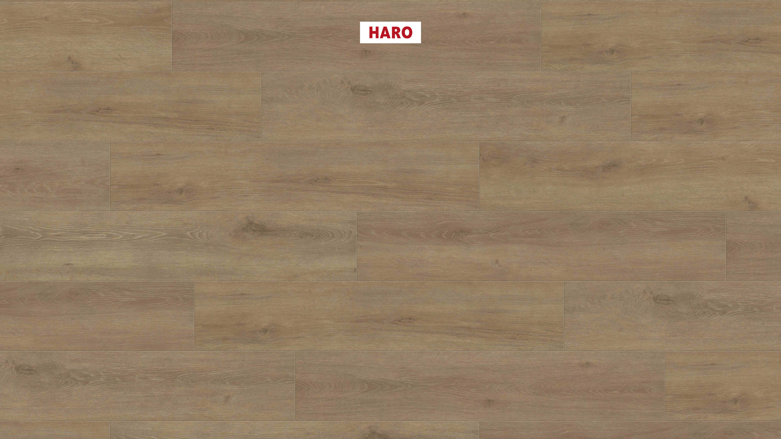 HARO Laminat Eiche Veneto creme authentic Landhausdiele 4V | Tritty 100 Campus | 2.Wahl | 18 m²-4018427485819
