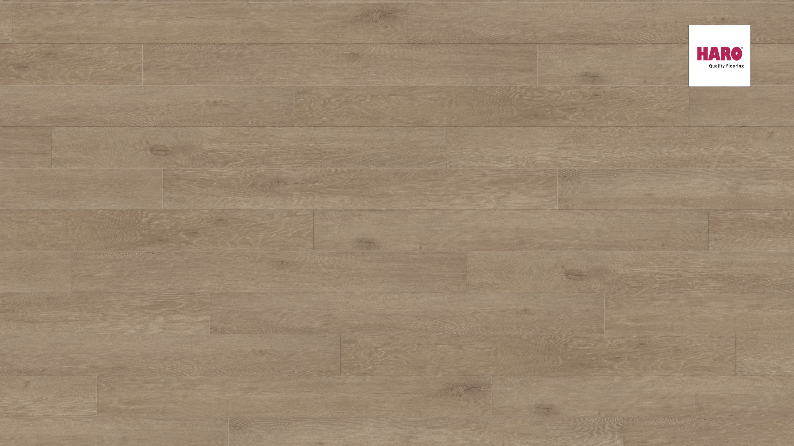 HARO Laminat Eiche Veneto crema Landhausdiele 4V | Tritty 100 Loft | 2.Wahl | 31 m²-4018427448110