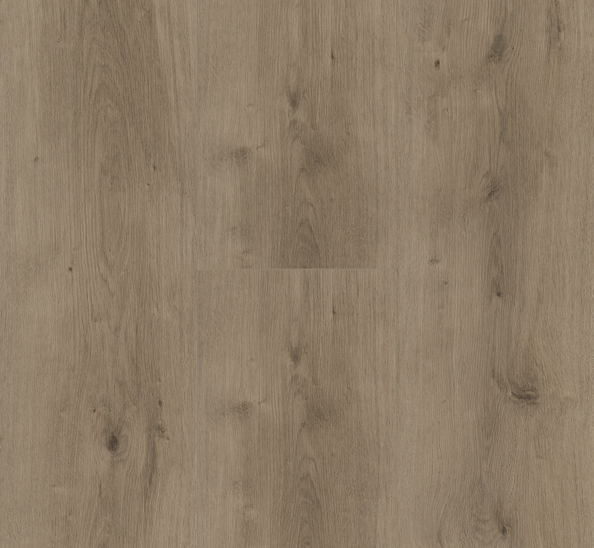 PARADOR Designboden Eiche Pure perlgrau Schlossdiele Holzstruktur 4-seitige Fase | Modular ONE-4014809192480