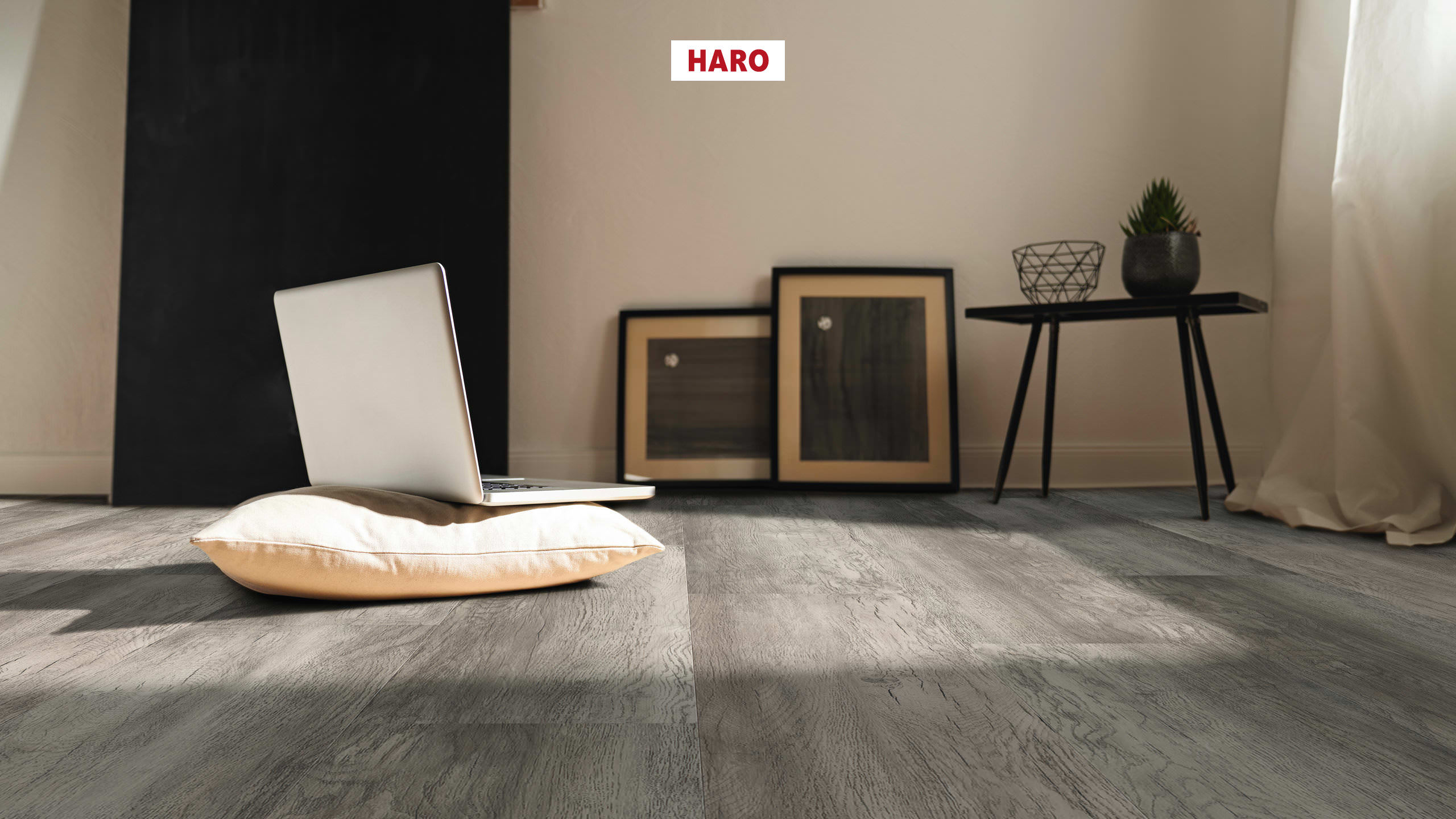 HARO Klebe-Designboden Country Eiche grau rustikal strukturiert Landhausdiele 4VM | DISANO Project-4018427425036