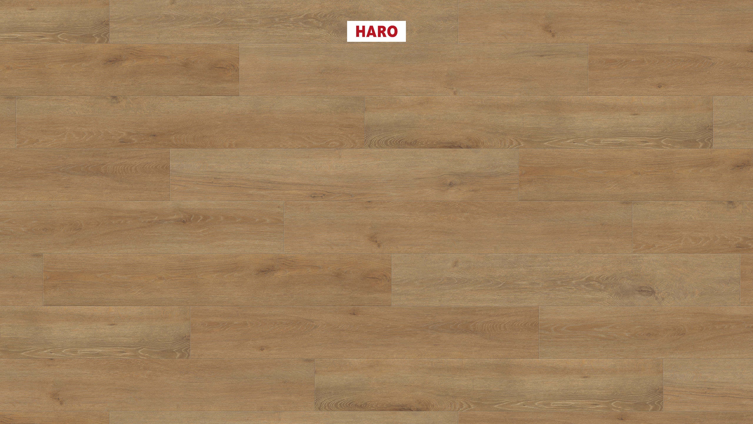 HARO Laminat Eiche Veneto natur Landhausdiele 4V | Tritty 200 Aqua Gran Via | 2.Wahl | 25 m²-4018427458386