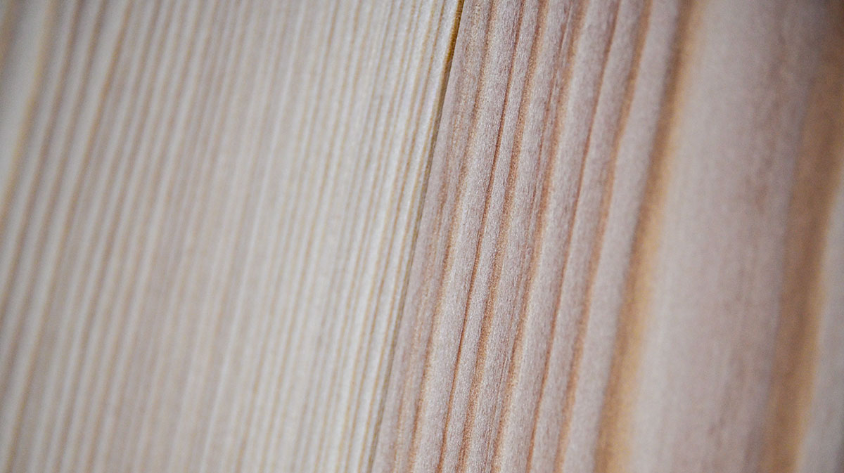 Schöne Maserung eines Holzbodesn