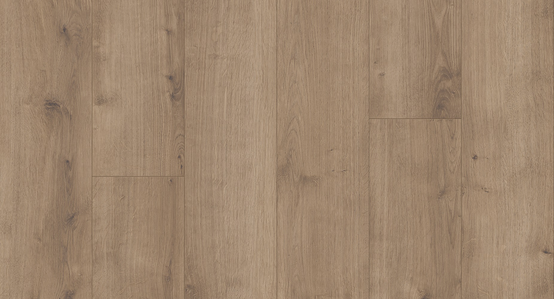 PARADOR Vinylboden Eiche Pure perlgrau Landhausdiele 4-seitige Fase | Modular ONE-4014809192213