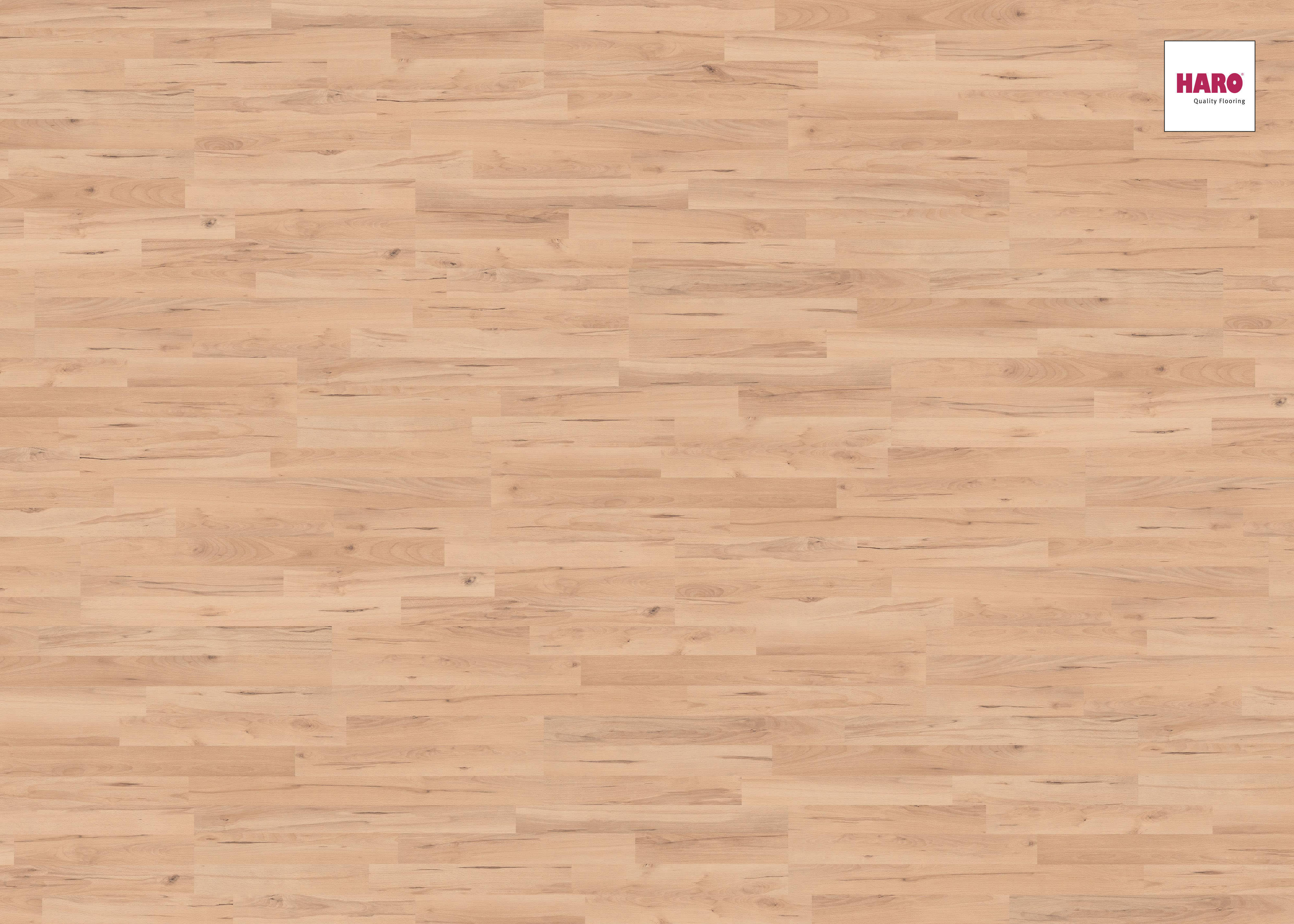 HARO Laminat Buche Navarra Schiffsboden 3-Stab | Sonderedition | 25 m²-4018427272081