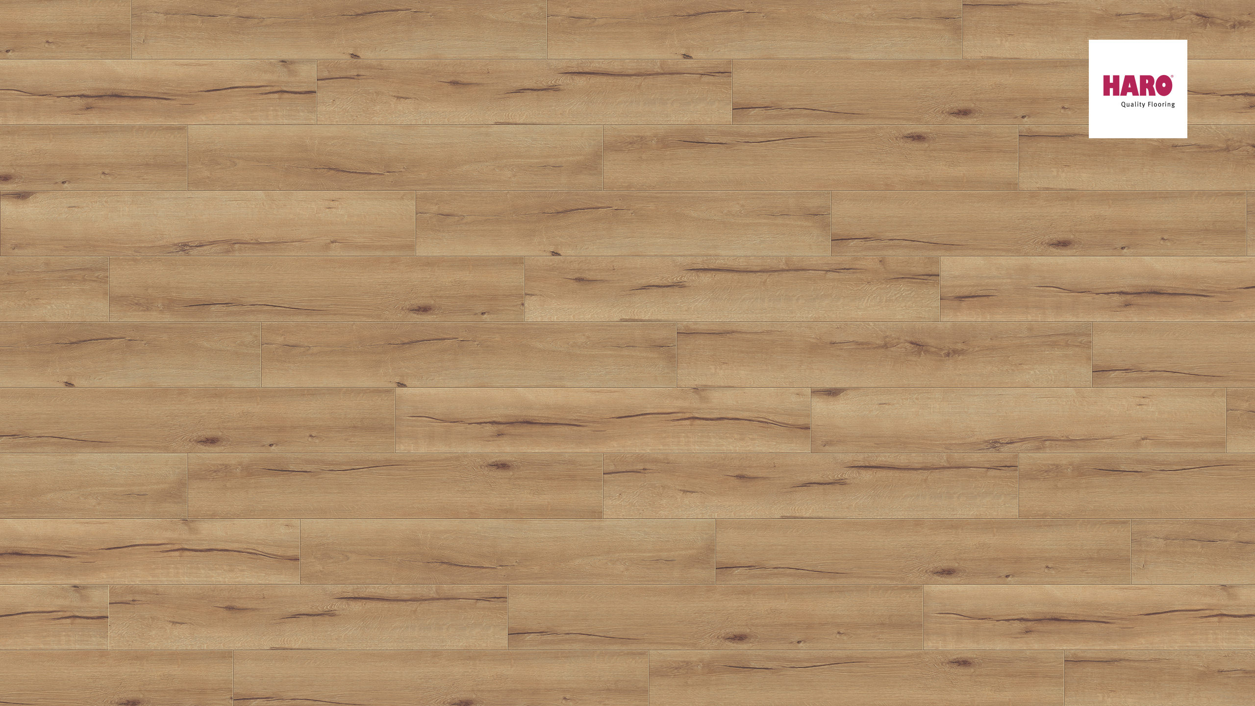 HARO Korkboden Arteo XL Eiche italica natur Permadur | Corkett | 20 m²-4018427376499