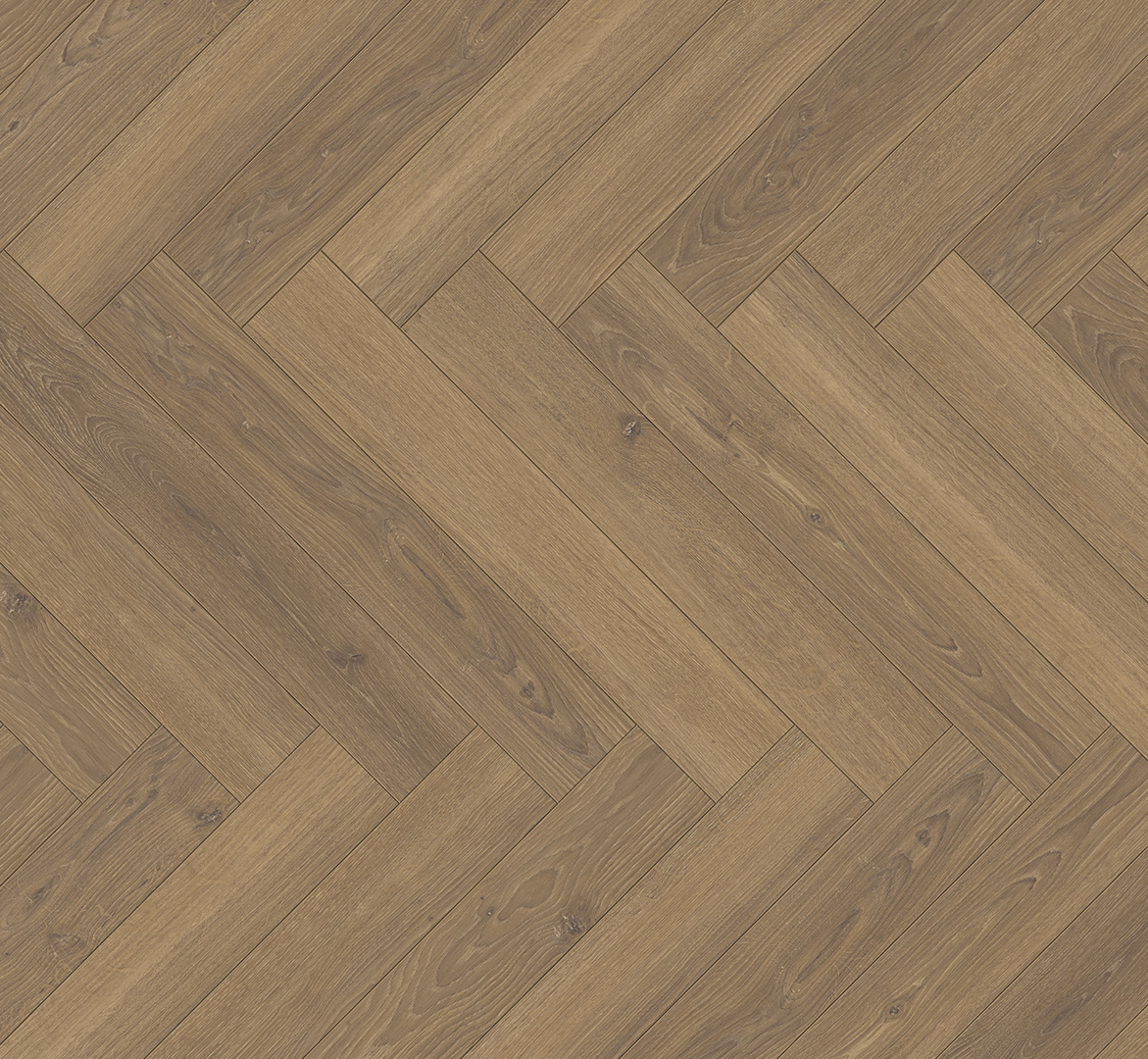 PARADOR Laminat Eiche Studioline honig 4-seitige V-Fuge | Trendtime 3 | 2. Wahl | 12 m²-4014809238423