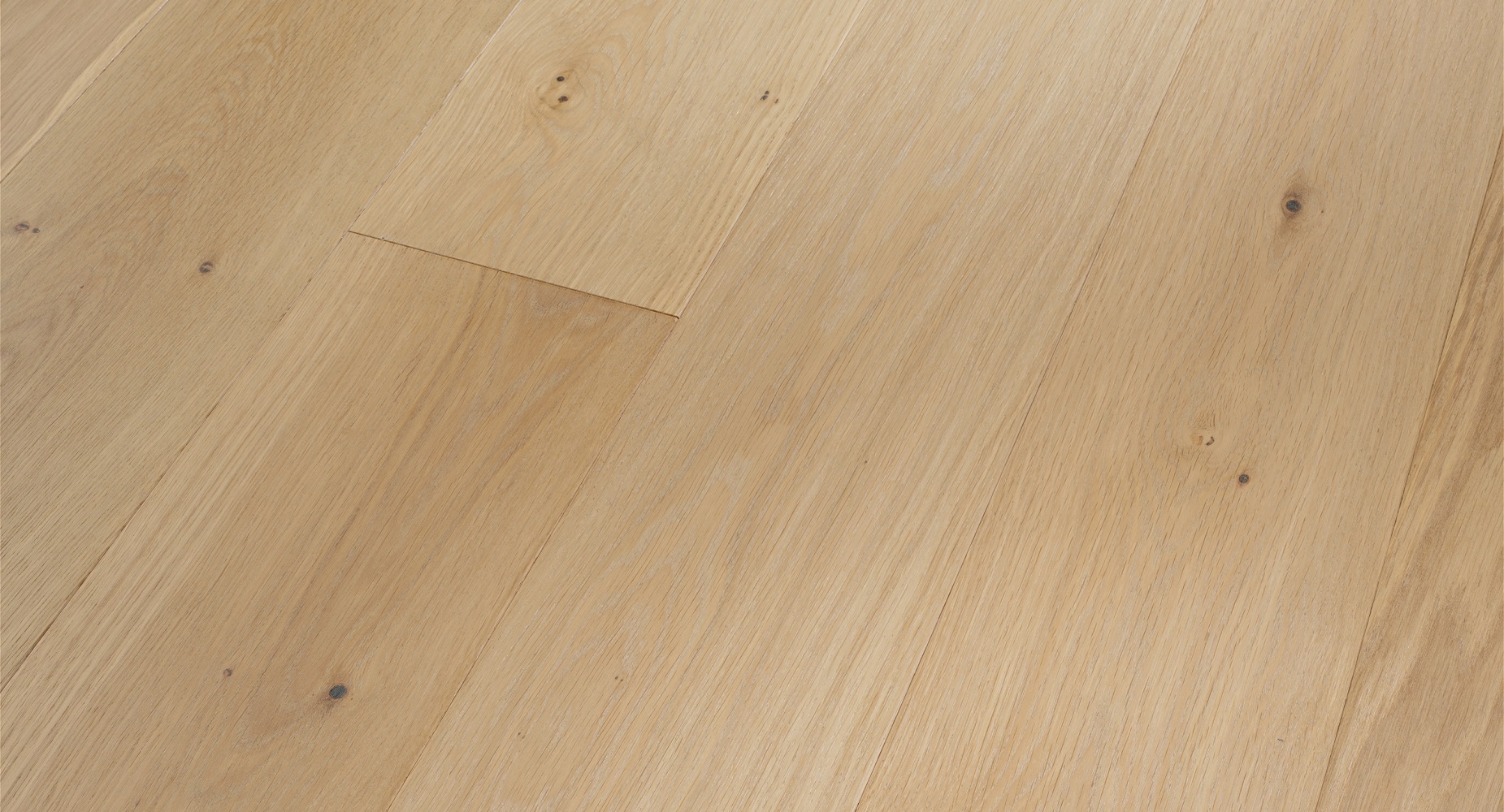 PARADOR Parkett Eiche Clear Landhausdiele 4-seitige Minifuge | Sonderedition Trendtime 4-# guenstig bei bodenverkauf.de kaufen PARADOR Parkett Eiche Clear Landhausdiele 4-seitige Minifuge | Sonderedition Trendtime 4-#