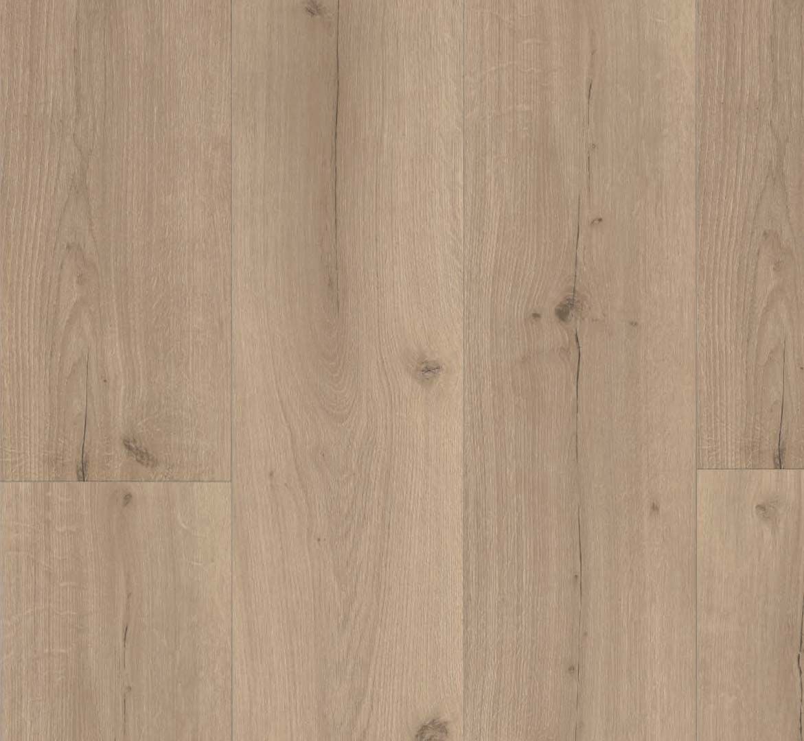 PARADOR Vinylboden Eiche Infinity grau Landhausdiele Lebhafte Struktur 4-seitige Fase | Basic 5.3-4014809237051