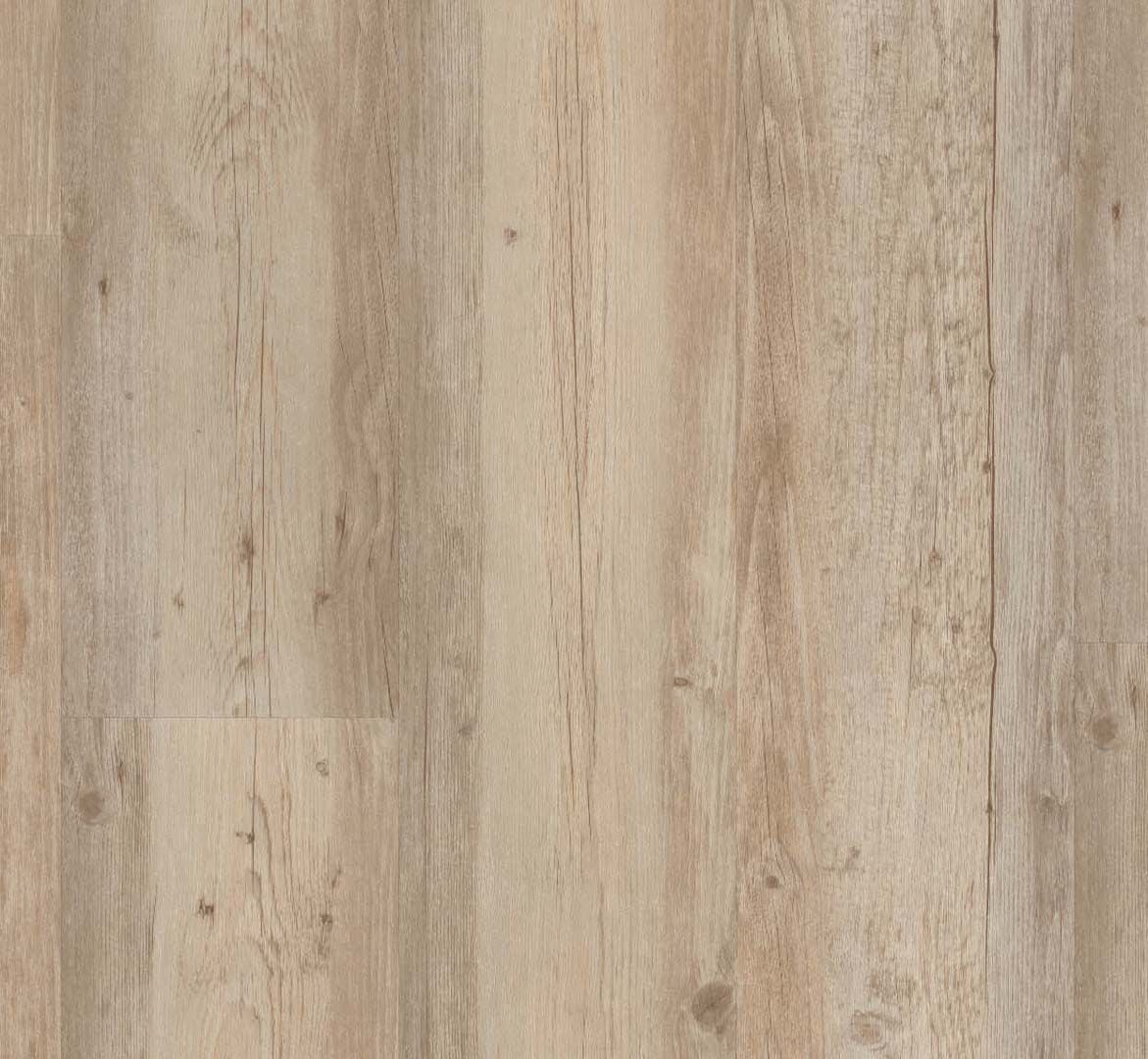 PARADOR Vinylboden Pinie weiß geölt Landhausdiele Sägeraue Struktur | Classic 2050-4014809145097