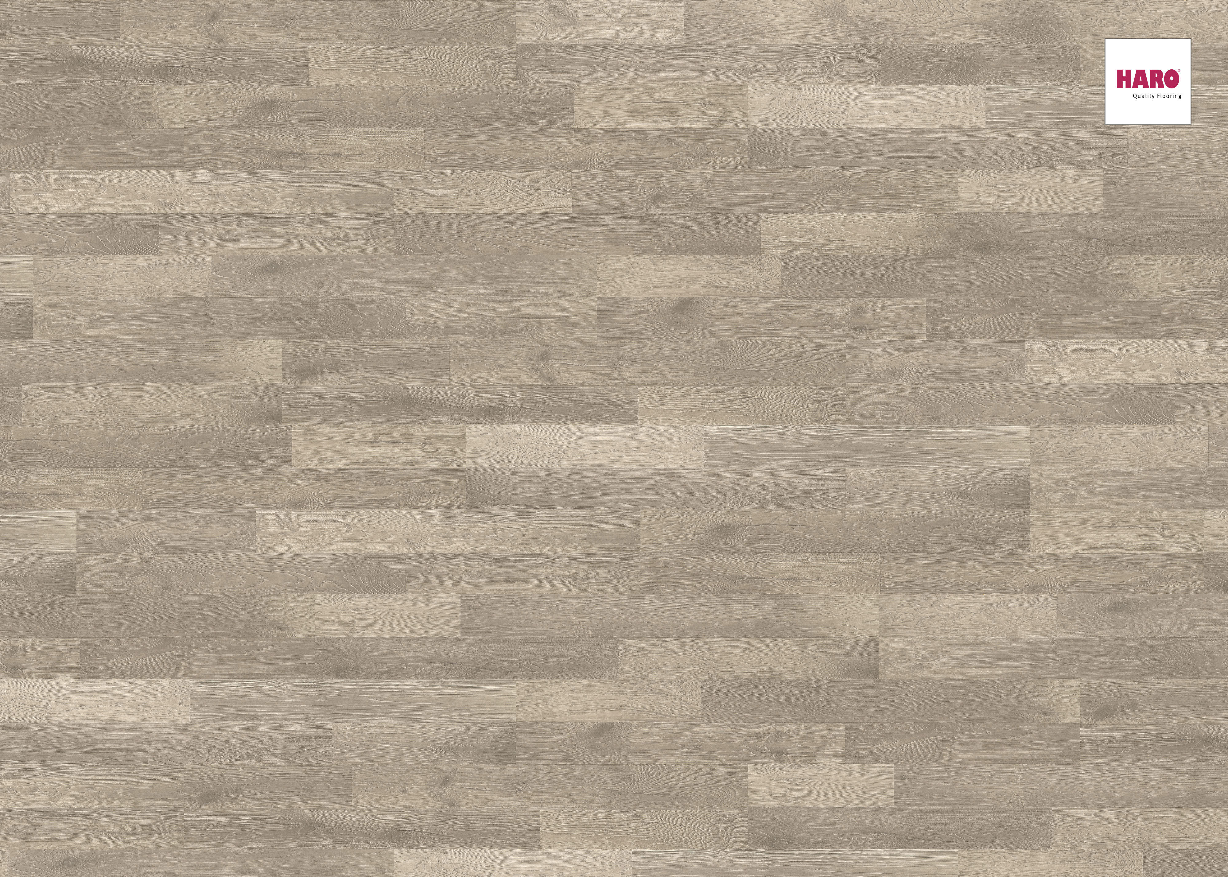 HARO Laminat Eiche Artico grau authentic 2-Stab | Tritty 75 | 2.Wahl | 20,5 m²-4018427376871