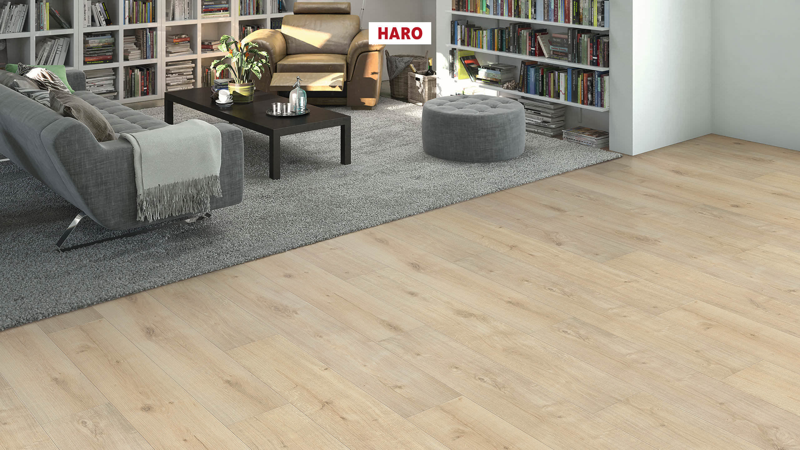 HARO Laminat Eiche Siena samtweiß soft matt Landhausdiele | Sonderedition NKL31-4018427488968 guenstig bei bodenverkauf.de kaufen HARO Laminat Eiche Siena samtweiß soft matt Landhausdiele | Sonderedition NKL31-4018427488968