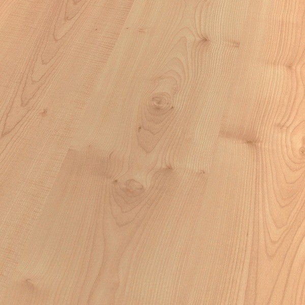 TER HÜRNE Laminat Ahorn puderbeige Landhausdiele | Vitality Line AkusTec | 8 m²-4012853073274
