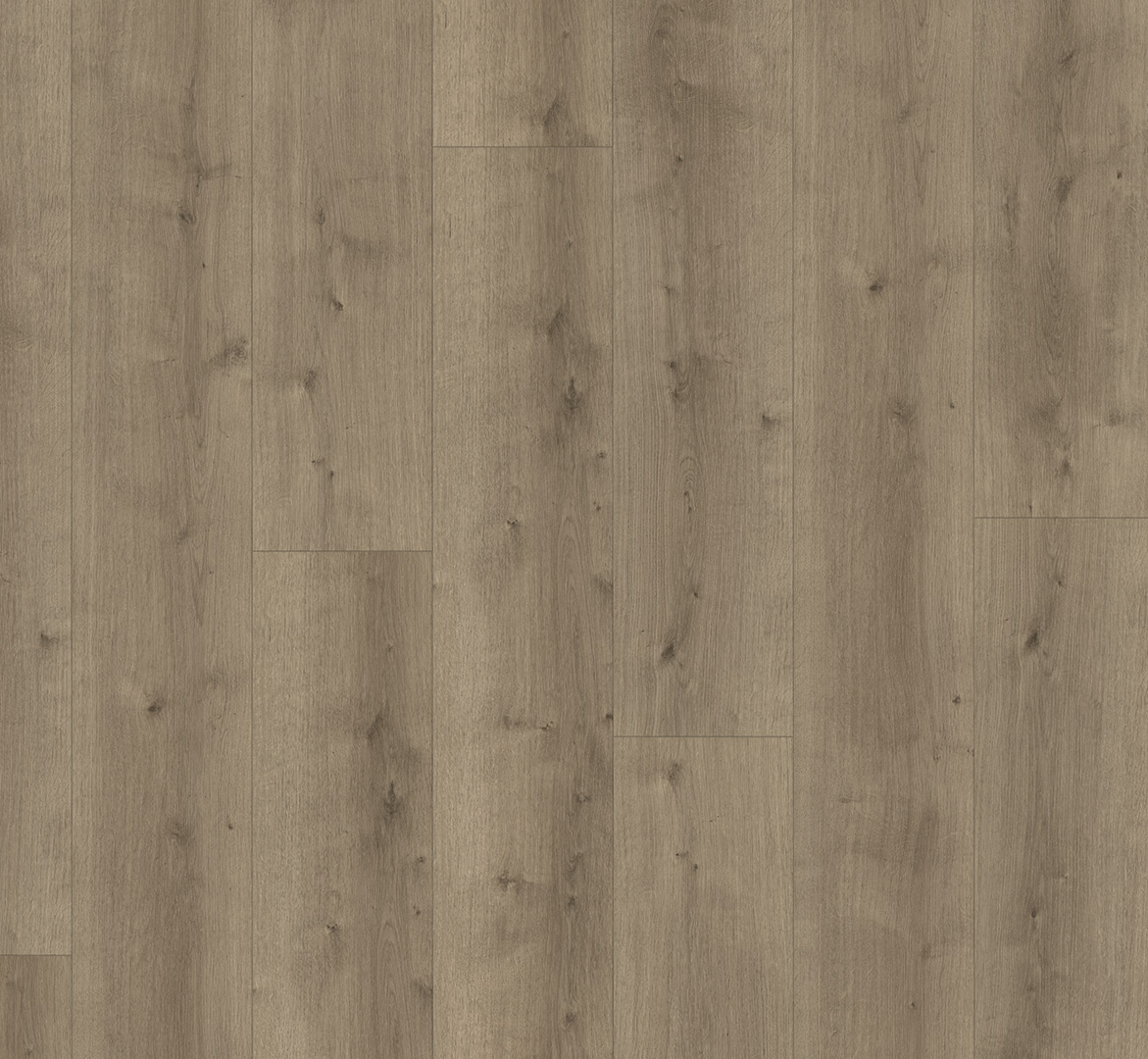 PARADOR Designboden Eiche Pure perlgrau Schlossdiele Holzstruktur 4-seitige Fase | Modular ONE-4014809192480