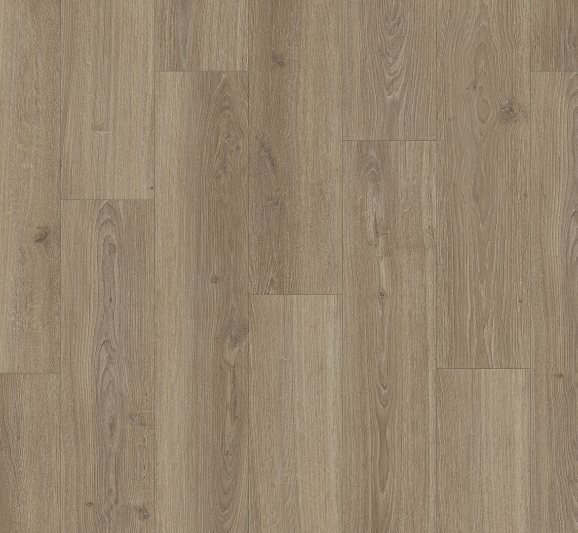 PARADOR Laminat Eiche Studioline macchiato Landhausdiele 4-seitige V-Fuge | Basic 600 XS-4014809265313 guenstig bei bodenverkauf.de kaufen PARADOR Laminat Eiche Studioline macchiato Landhausdiele 4-seitige V-Fuge | Basic 600 XS-4014809265313