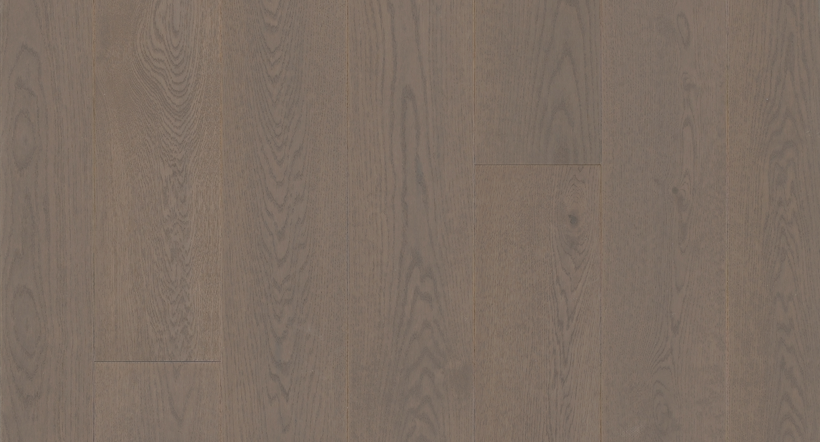 PARADOR Parkett Eiche Truffel gebürstet Landhausdiele 4-seitige Minifase | Sonderedition | 10 m²-# guenstig bei bodenverkauf.de kaufen PARADOR Parkett Eiche Truffel gebürstet Landhausdiele 4-seitige Minifase | Sonderedition | 10 m²-#