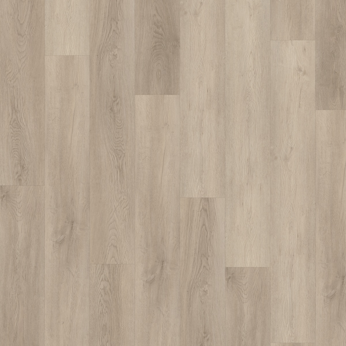 CHECK Vinylboden 2466 Wickrath Eiche Landhausdiele | Standard Collection-4250055112975