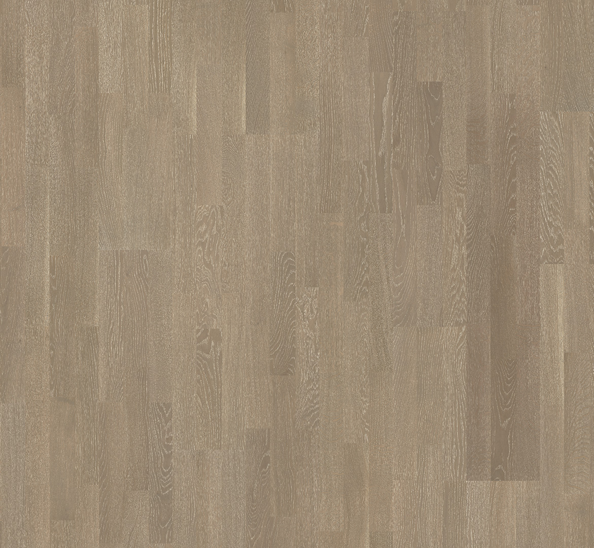 PARADOR Parkett Eiche graphit Living Schiffsboden 3-Stab lackversiegelt matt | Classic 3060-4014809203308